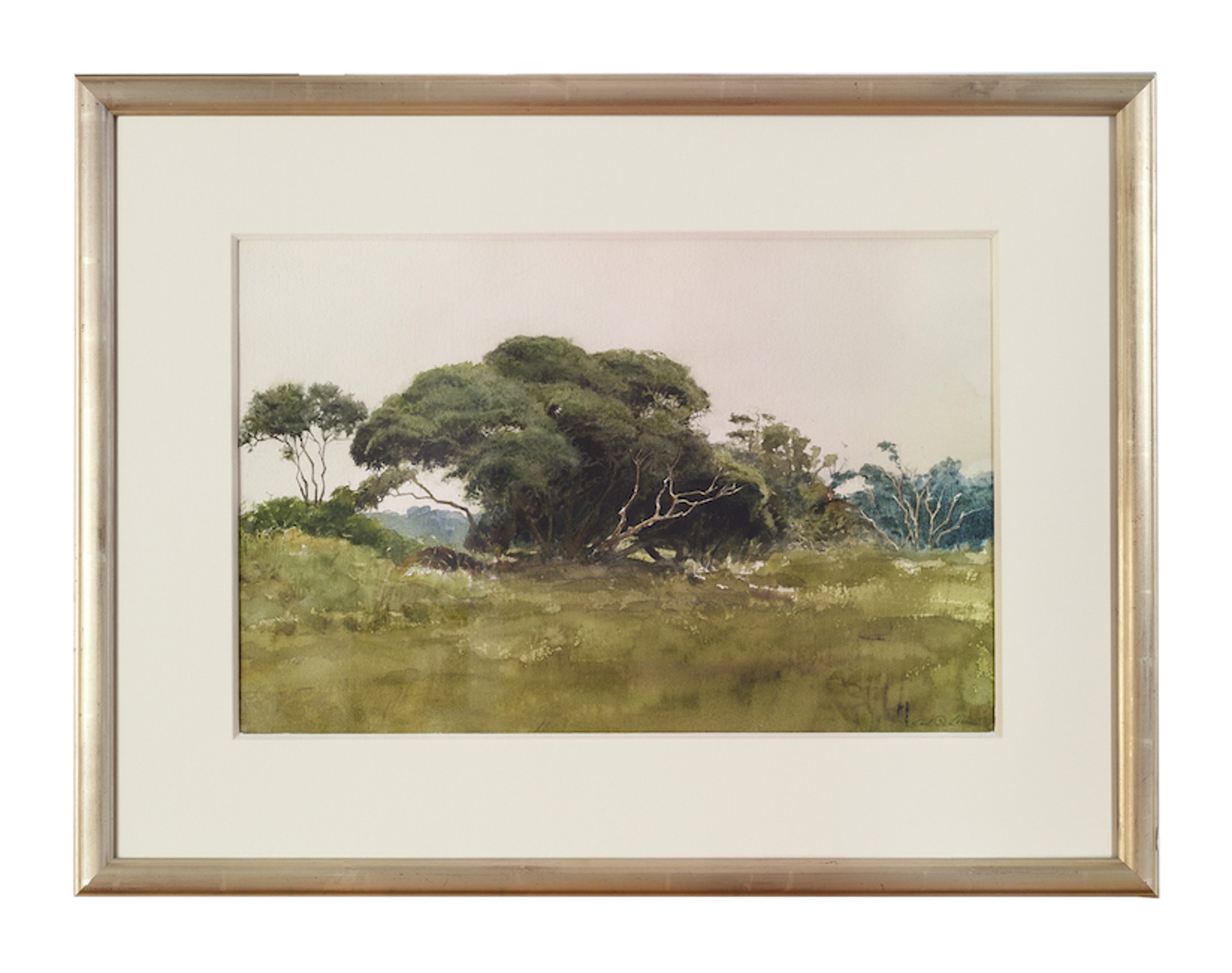 Kiawah Trees by Earl B. Lewis