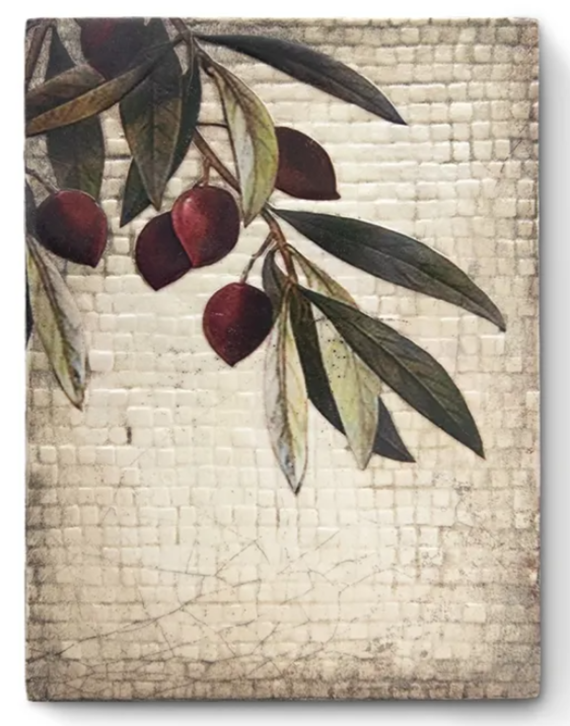 Olive Tree T603 by Sid Dickens