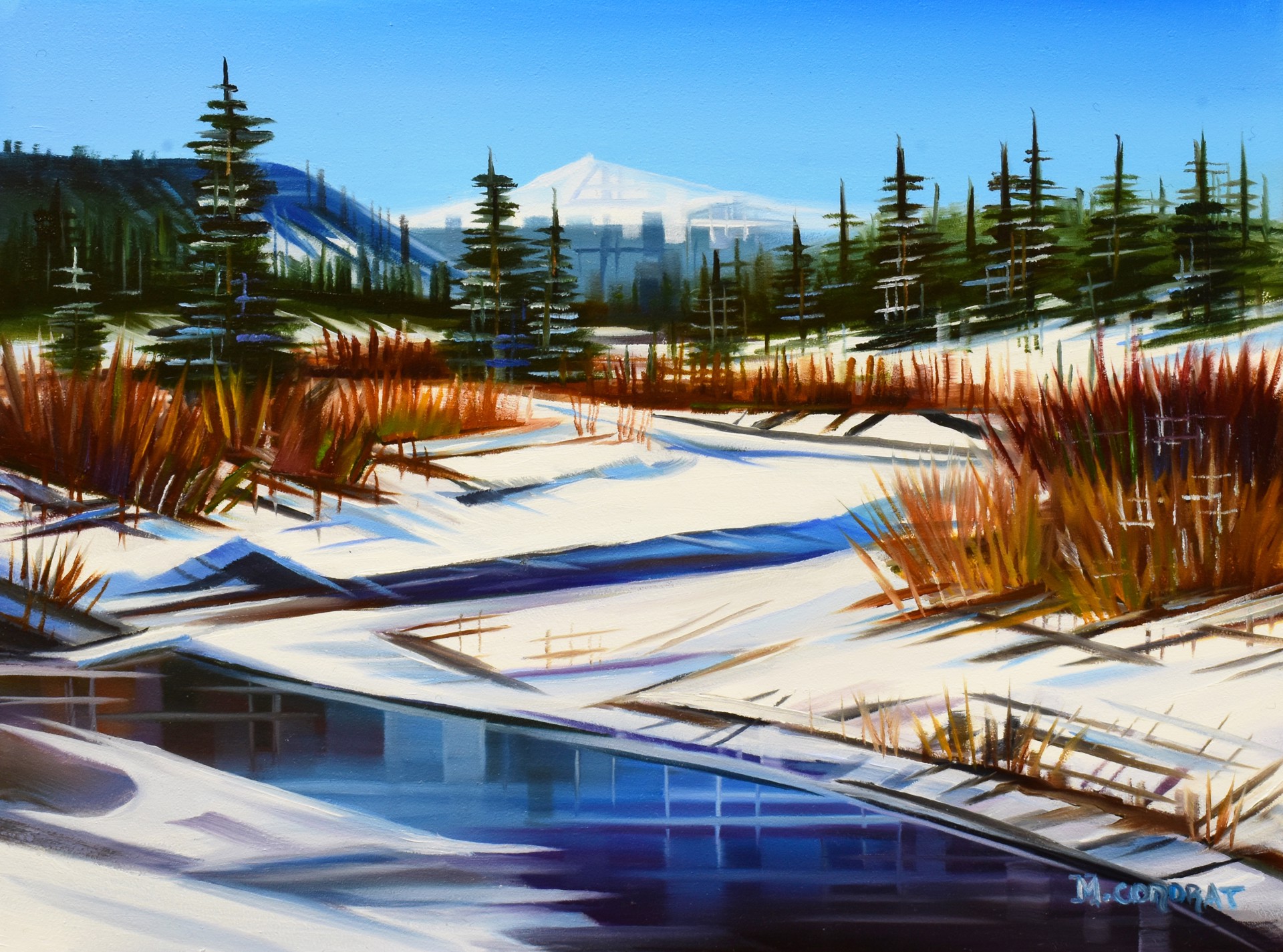 Winter Valley by Michelle Condrat