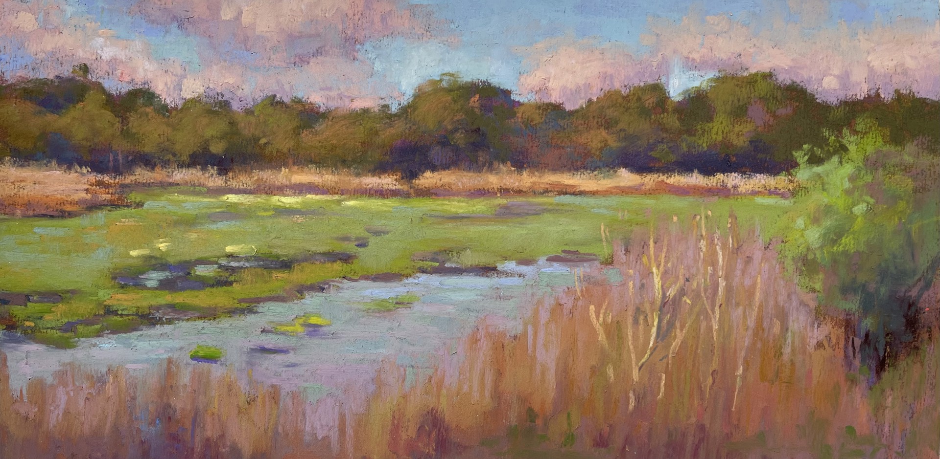Wetland Morning by Orit Reuben