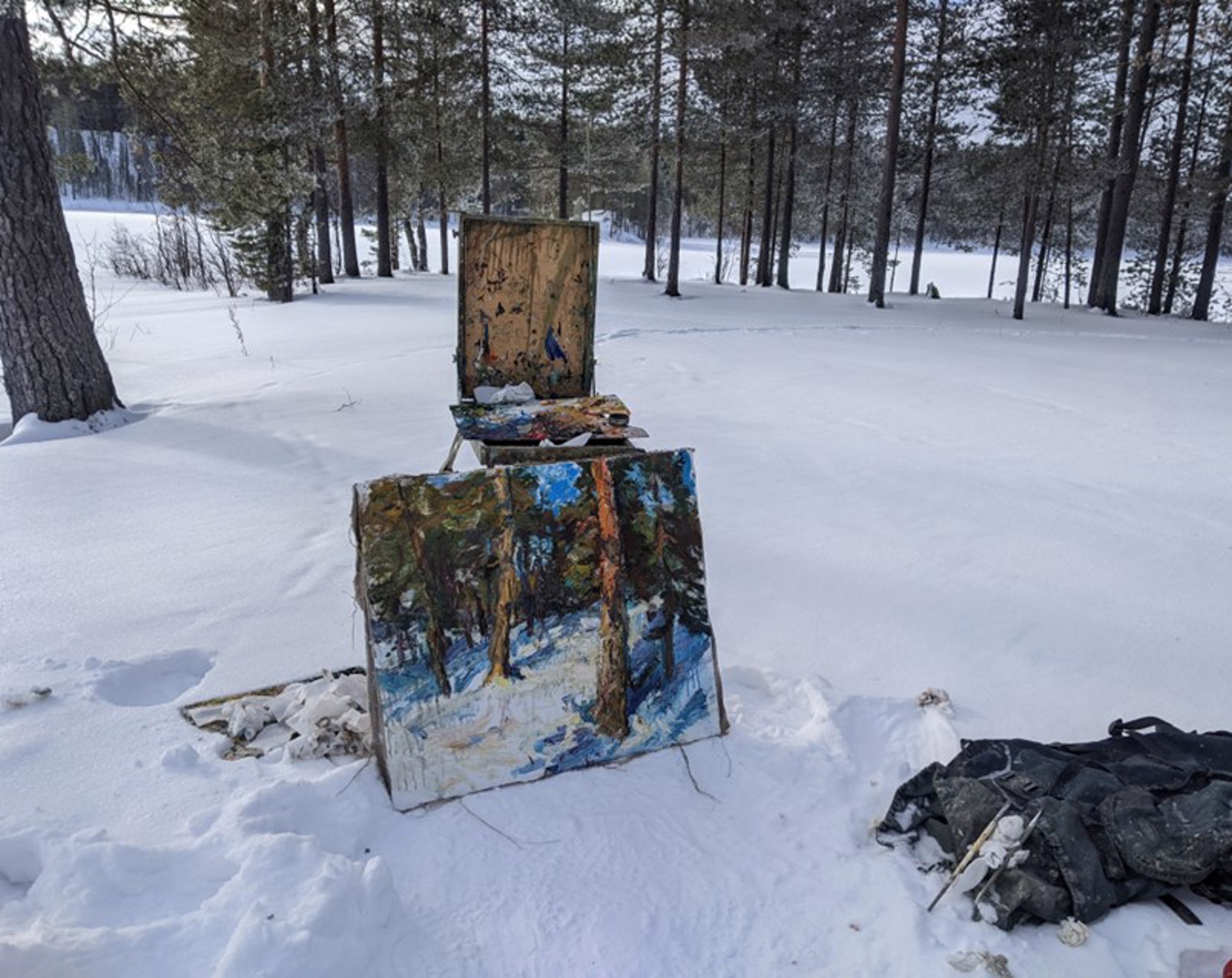 Winter Morning (In Karelia) by Ulrich Gleiter