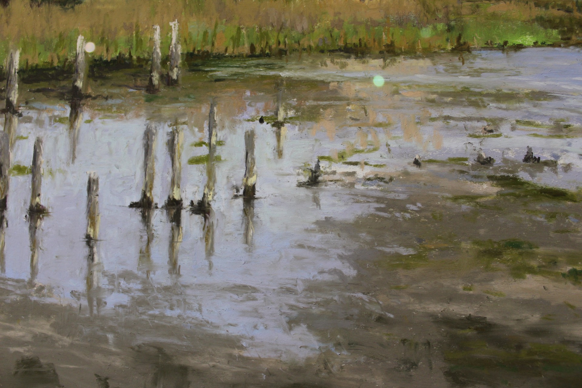 Lake Pontchartrain, Low Tide by Mary Monk