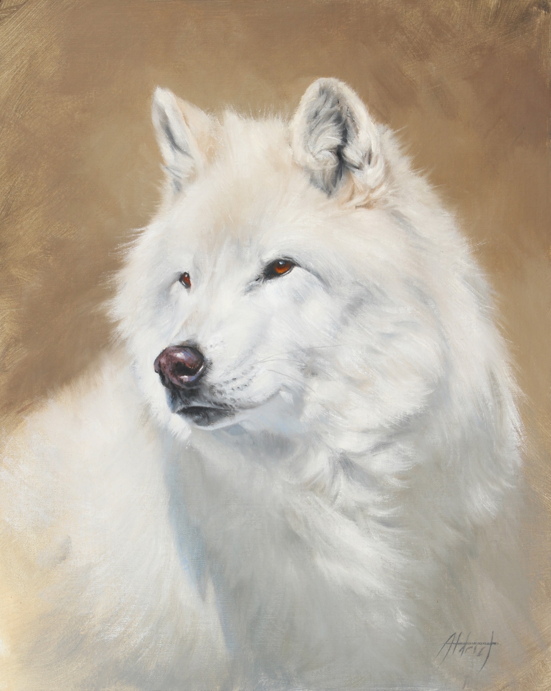 Wolf Portrait #2 by Ed Aldrich