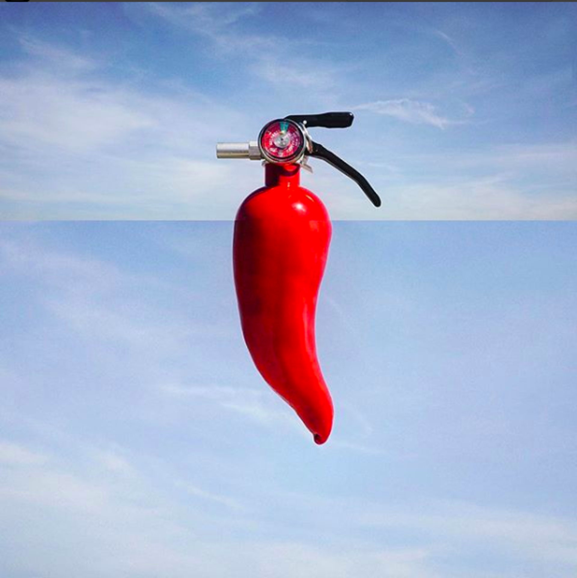 Red Pepper + Extinguisher by Stephen McMennamy