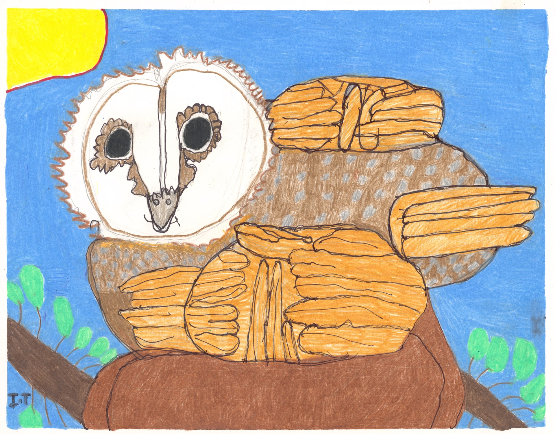 Happy Owl (FRAMED) by Imani Turner