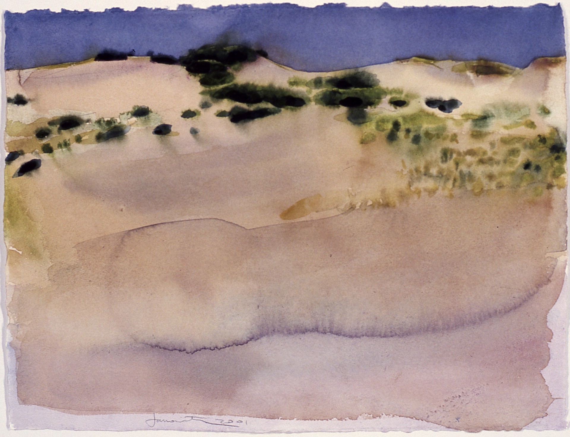 Provincetown: Dune Washes I by Joel Janowitz