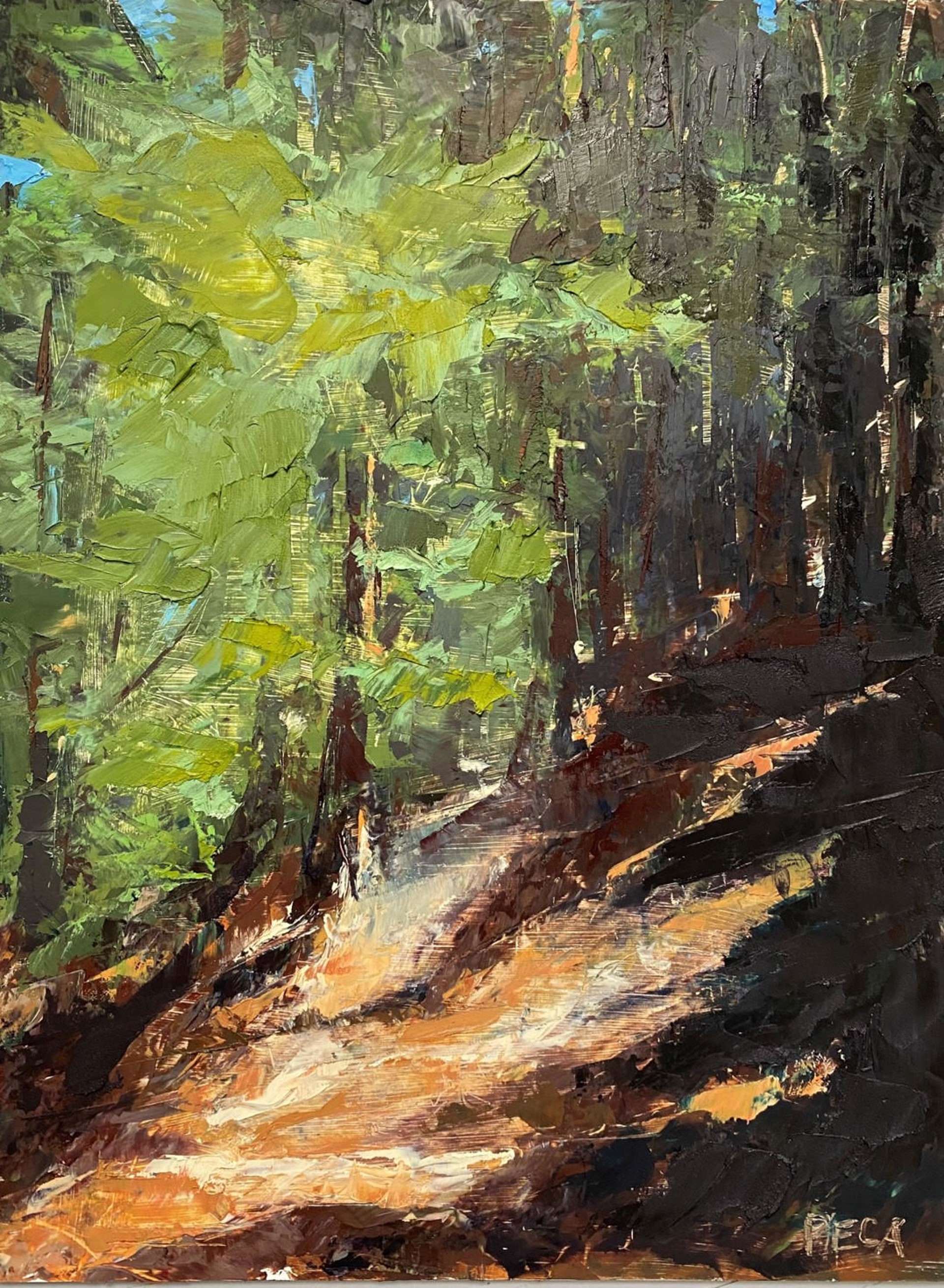 Sunlit by Terry Peca