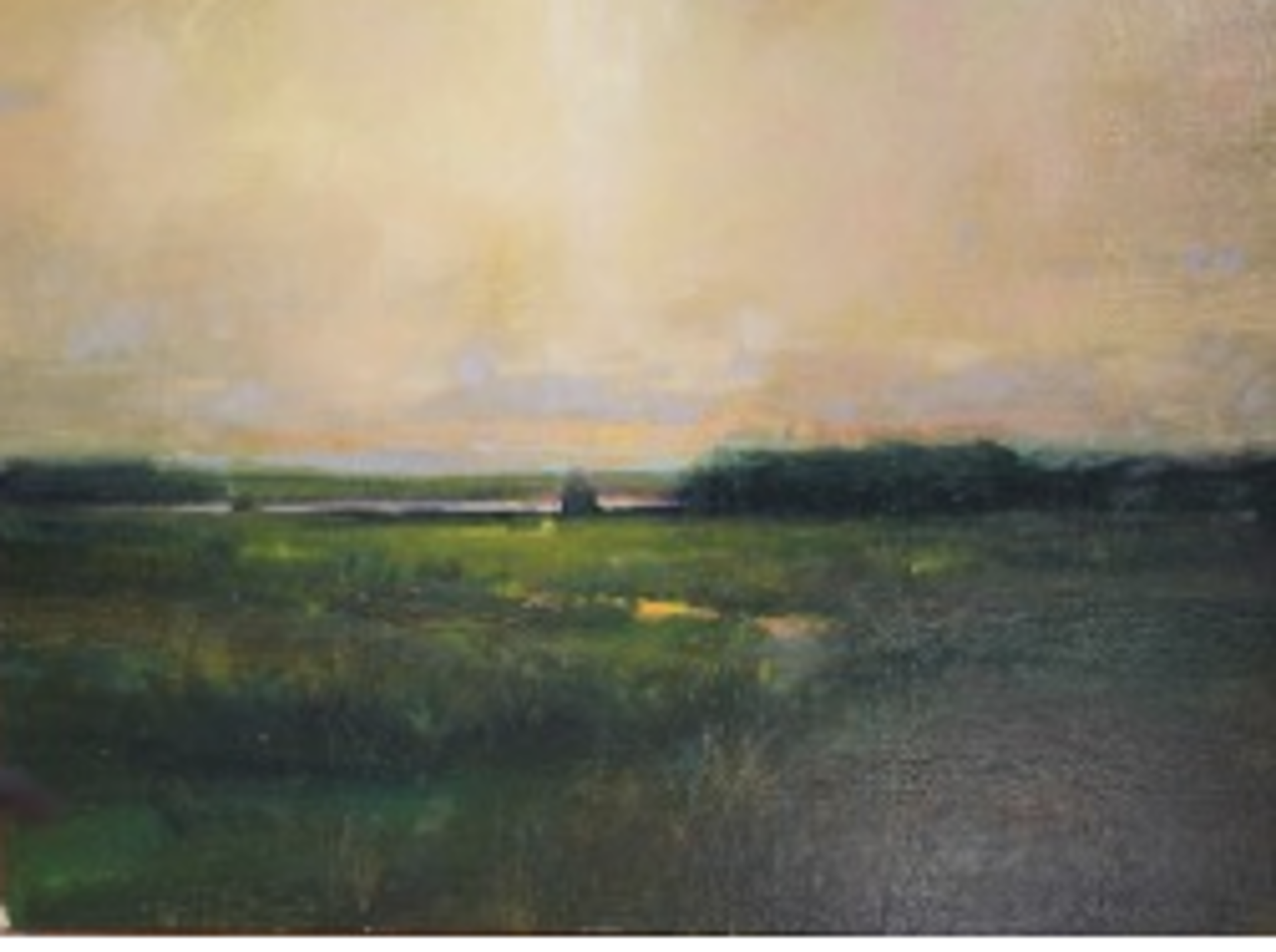 The Long Marsh by John MacDonald