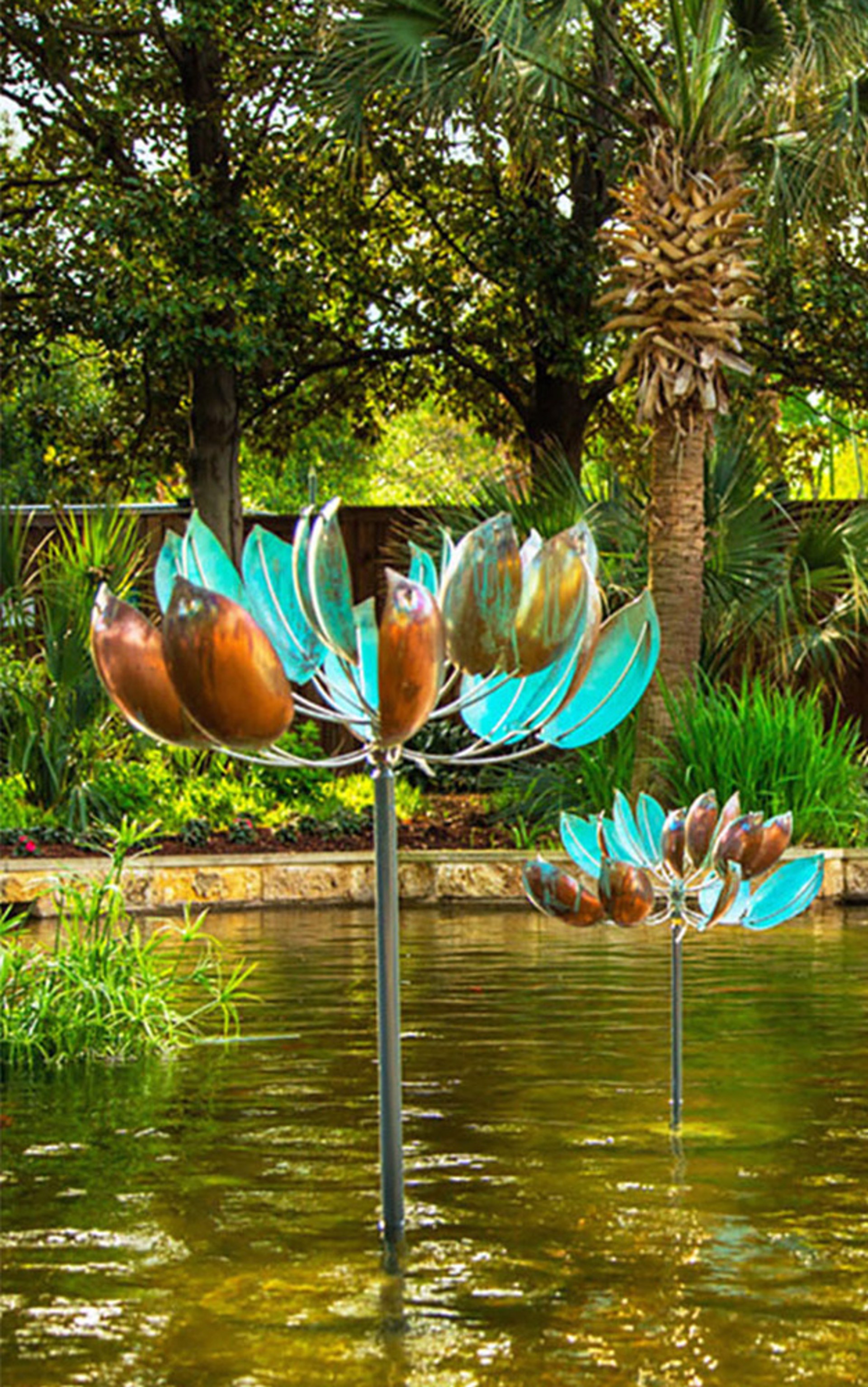 Lotus by Lyman Whitaker