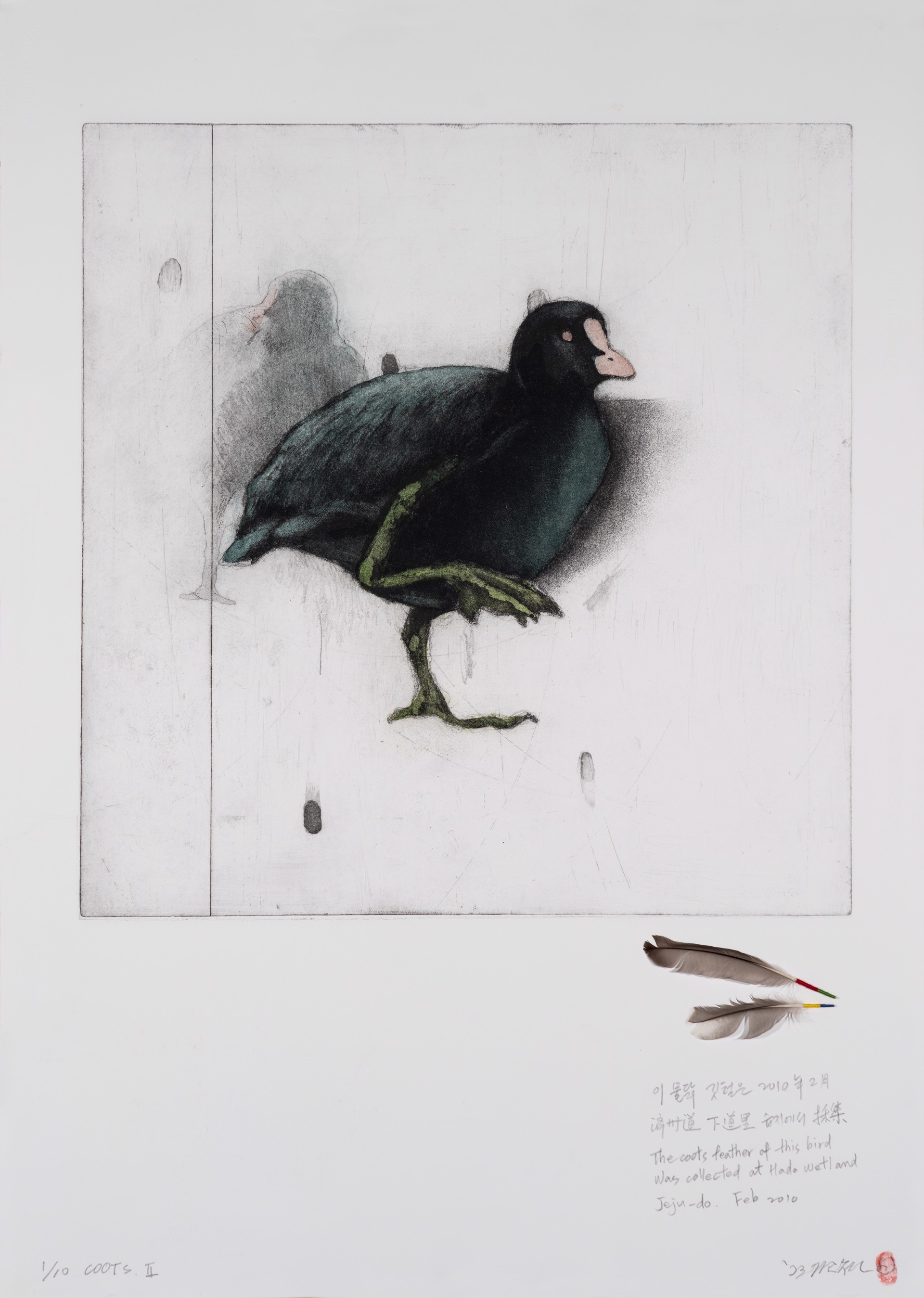 Coots II by Gilchun Koh