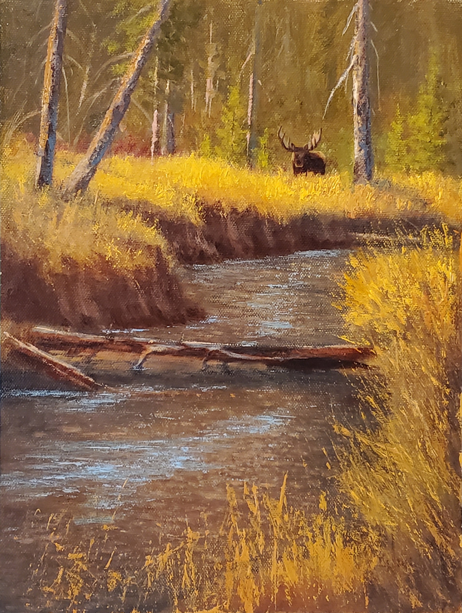 Moose Creek by Paul Hill