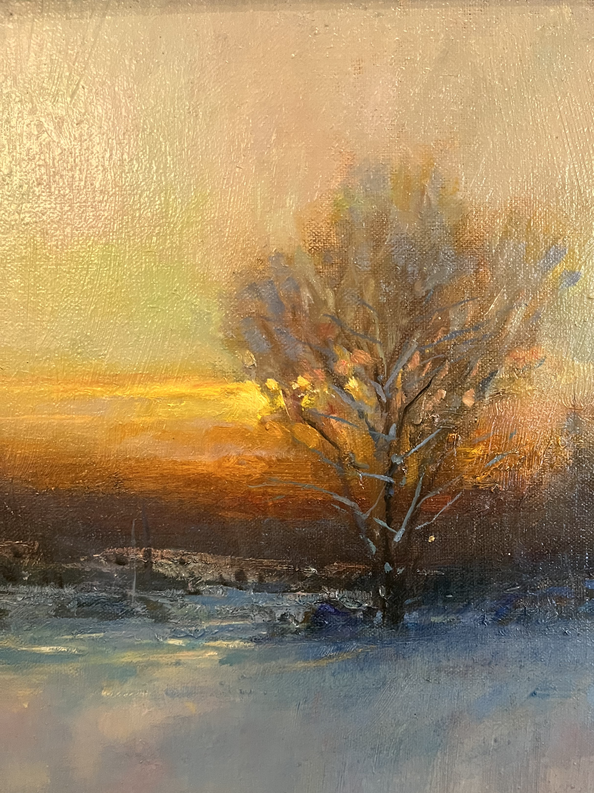 Winter Fire by John MacDonald