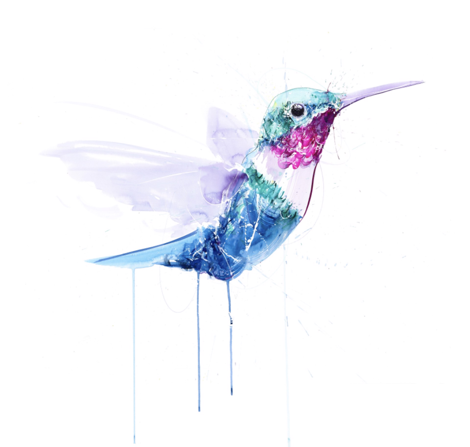 Hummingbird VII-(Single Pink/Blue)  Edition of 30 by Dave White