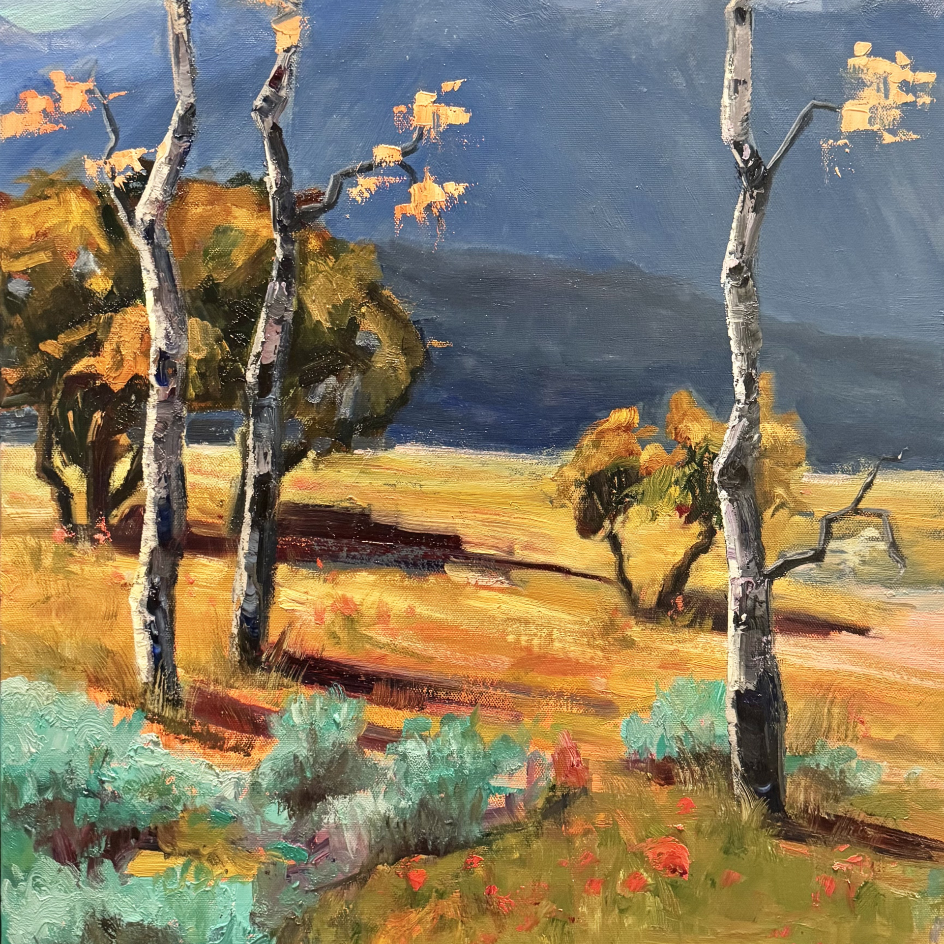 Samuel Schulz | Montana Trails Gallery