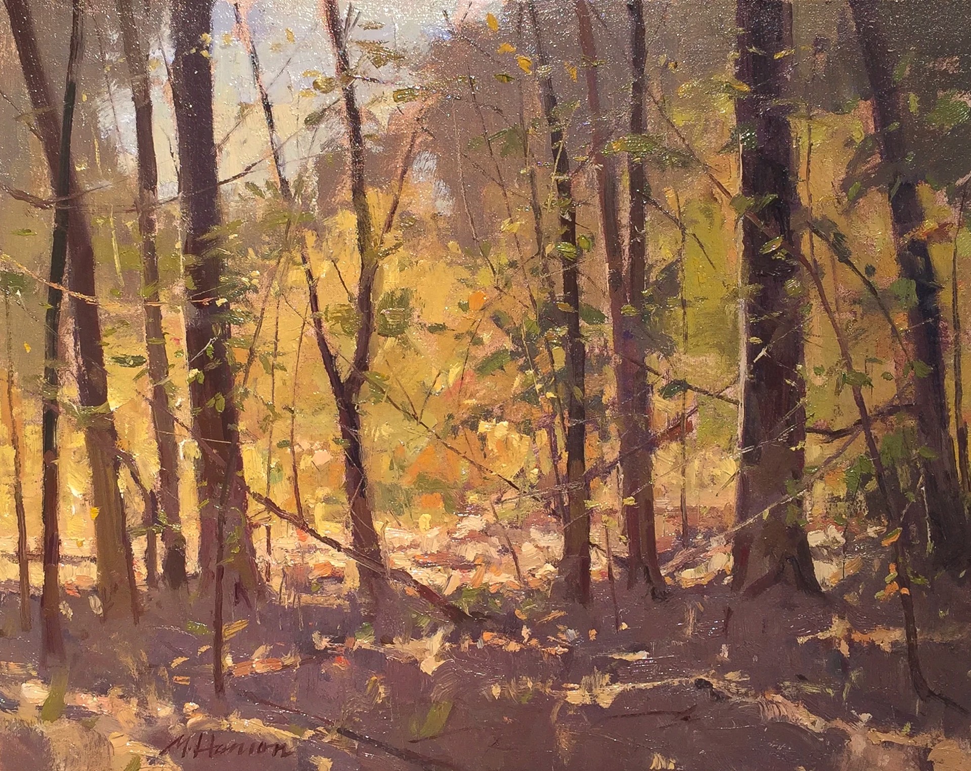 October Passing by Marc R. Hanson, OPAM