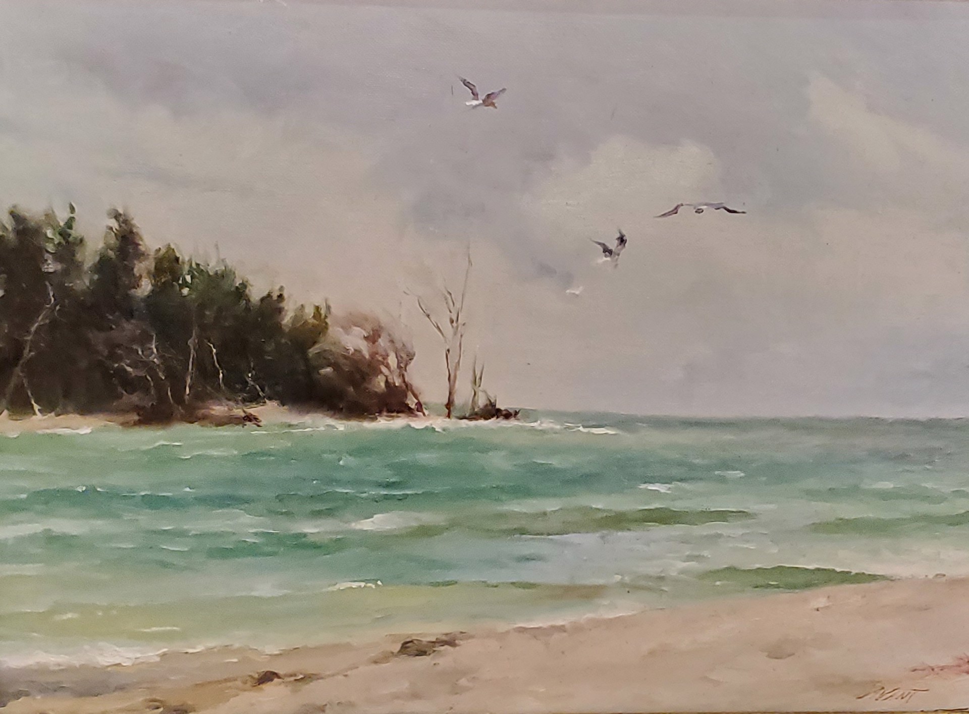 Seagulls Descending on Beer Can Island by Dominic Avant