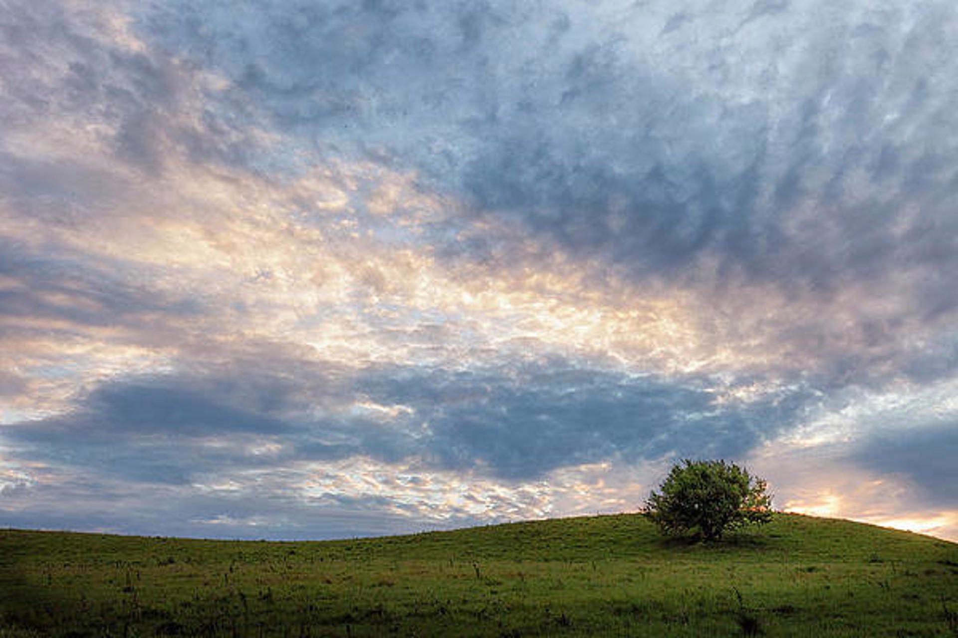 Morning Magic by Scott Bean