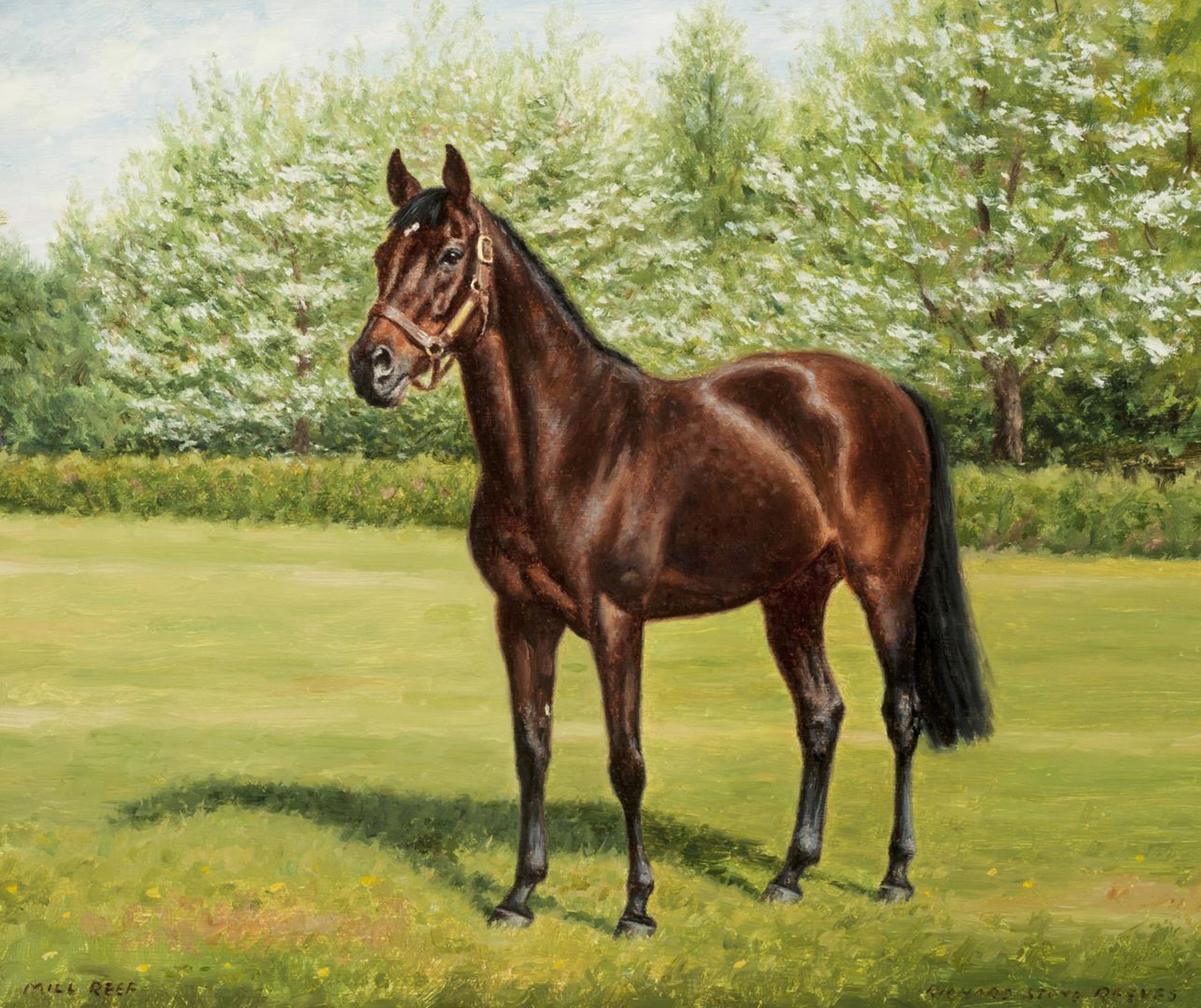 Mill Reef by Richard Stone Reeves