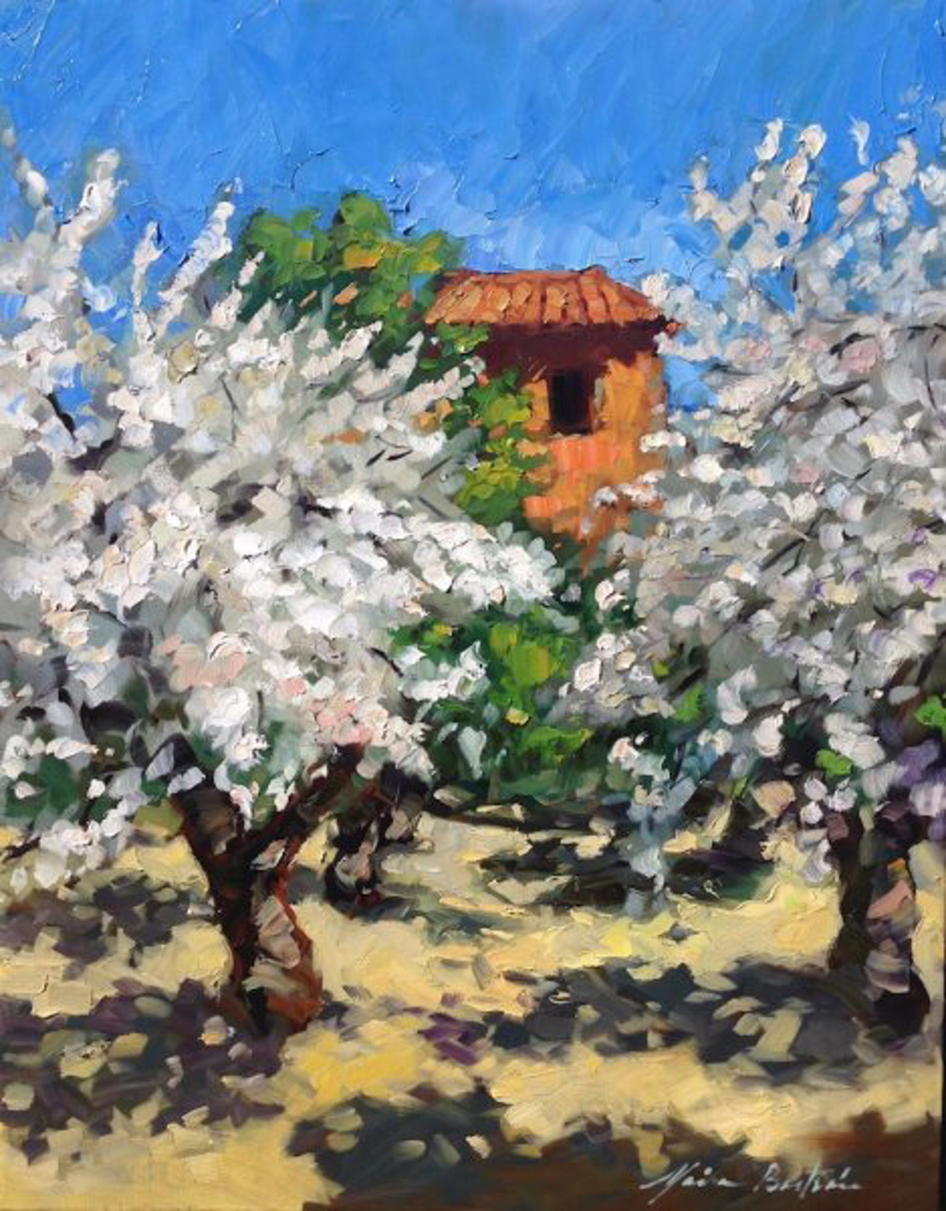 Old Cabanon Cherry Orchard by Maria Bertrán