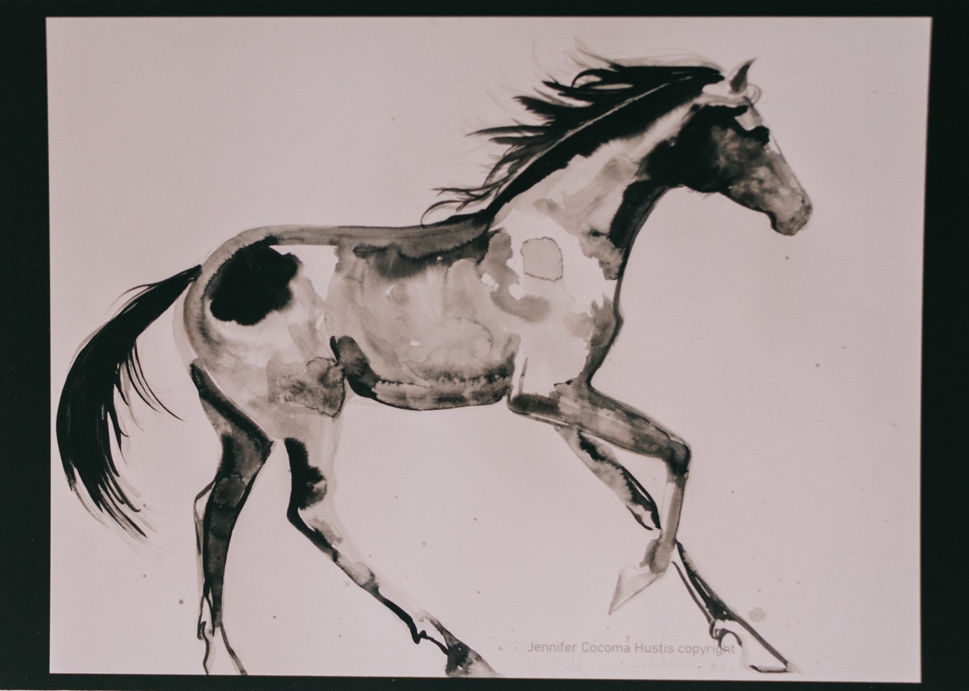 Horse (Black and White) Postcard by Jennifer Cocoma Hustis