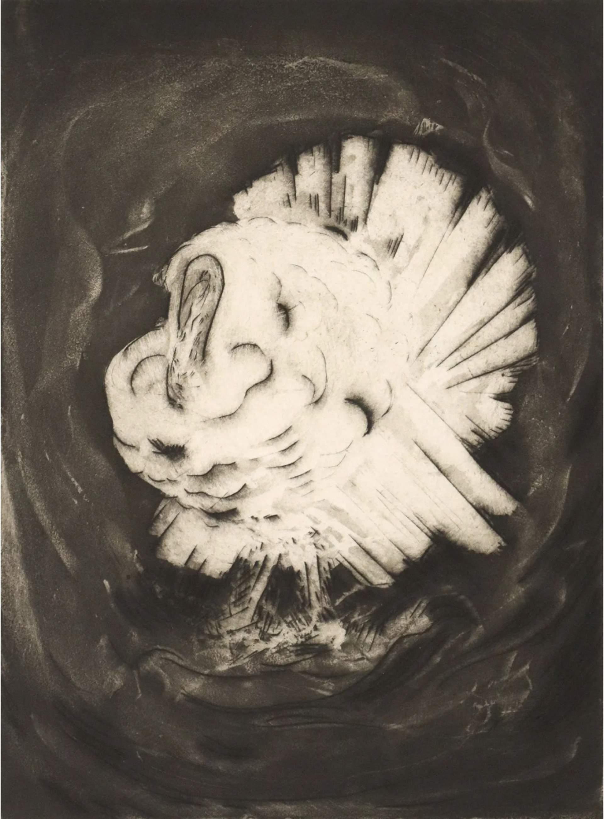 The White Turkey by Constance Forsyth