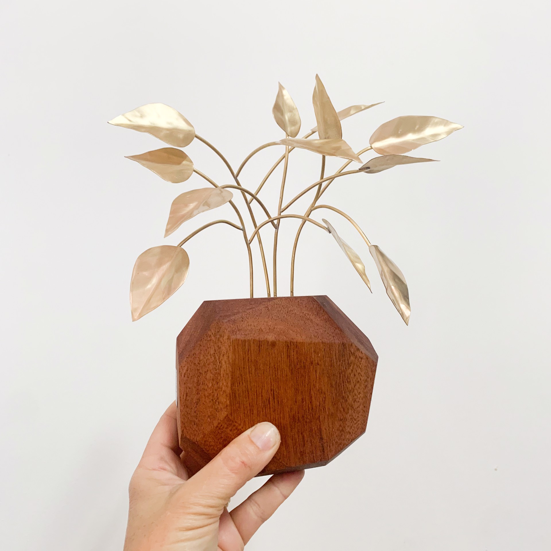 Philodendron Wall sculpture with Sapele by Audrey Laine