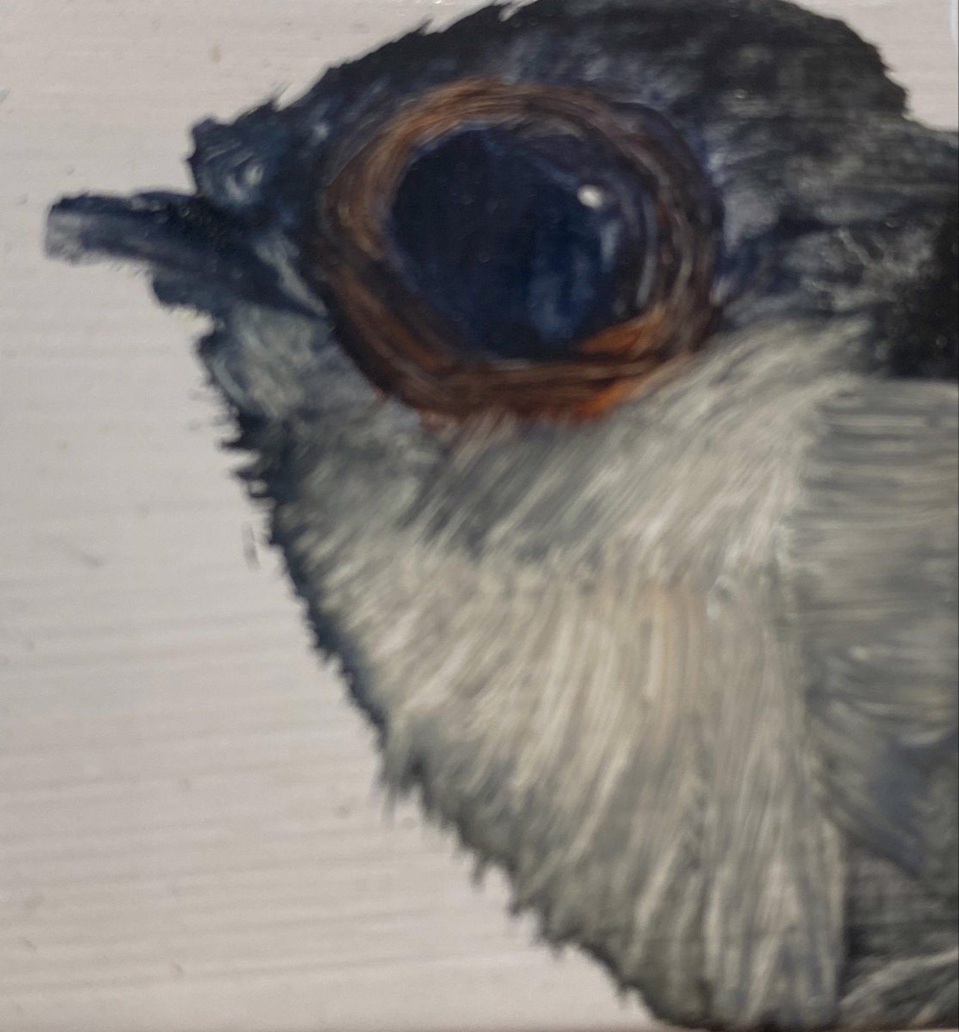 Tiny Bird Block (grey) by Diane Kilgore Condon
