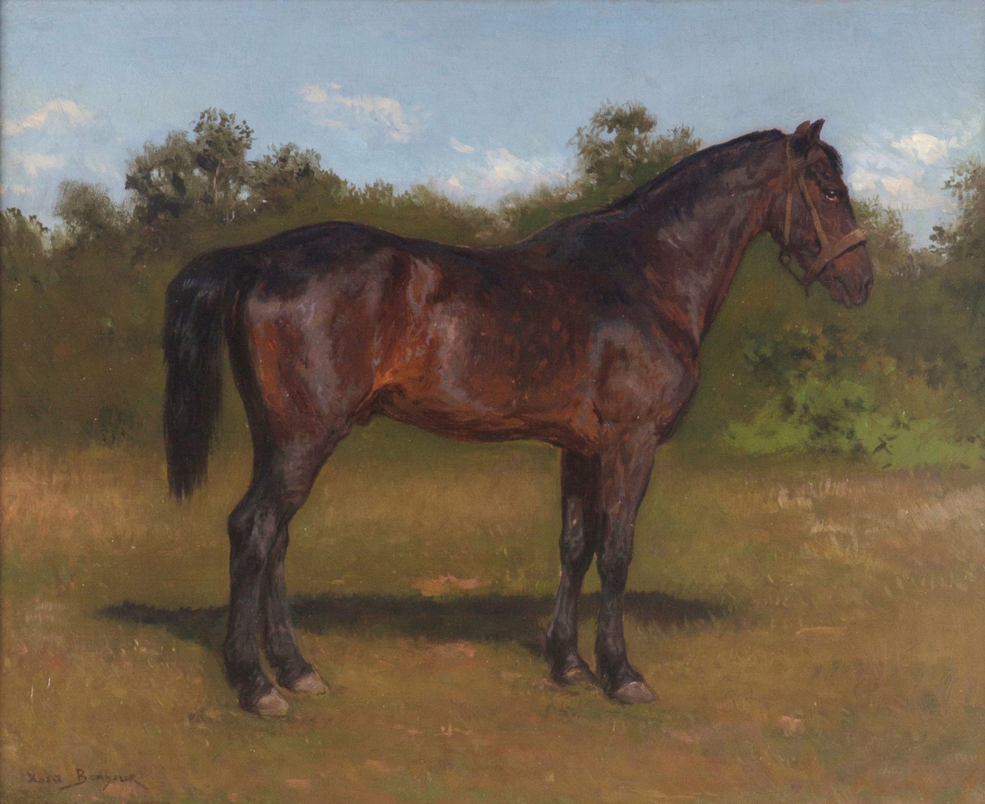 Portrait of a Dark Brown Horse by Rosa Bonheur