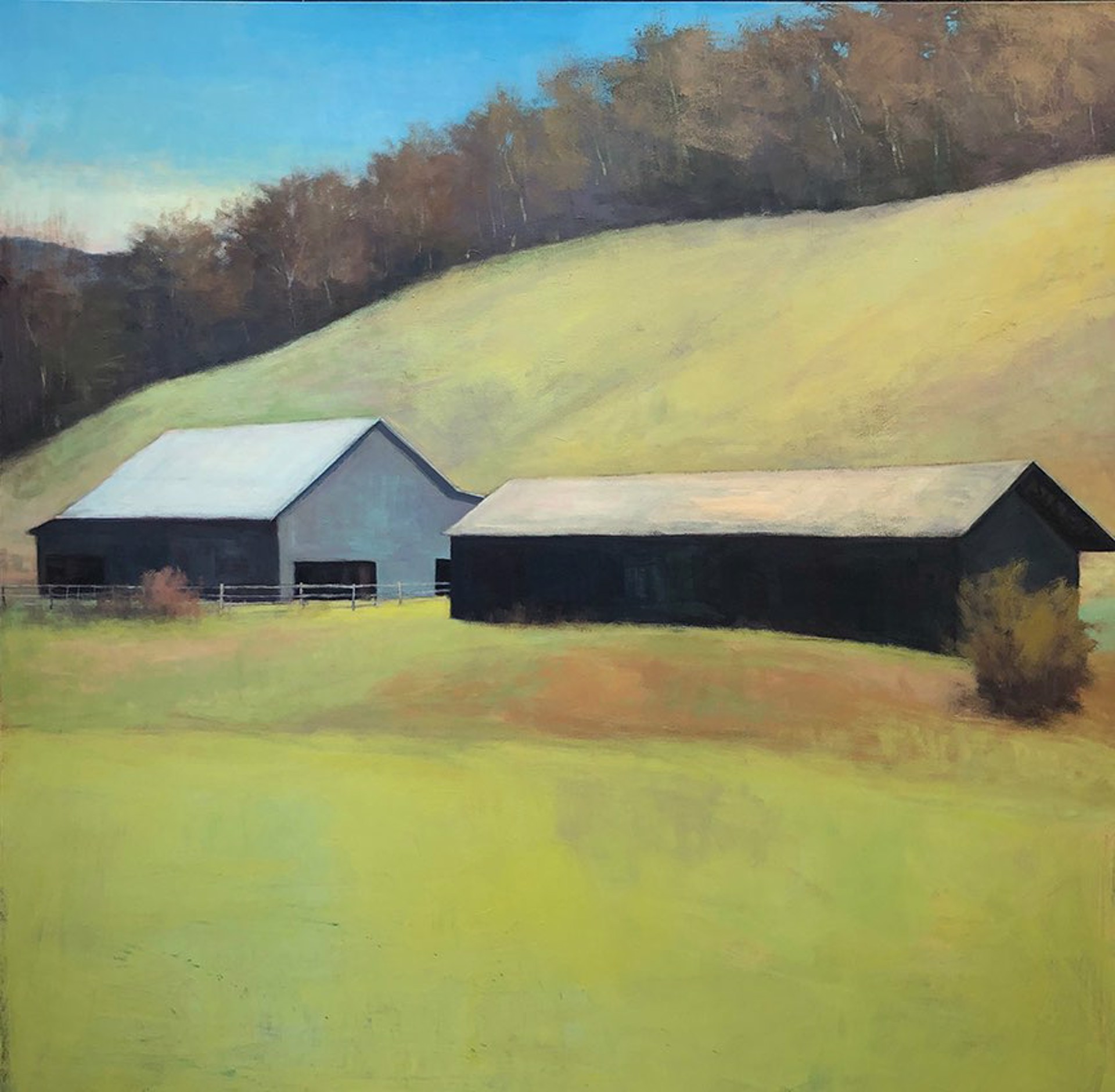 Carolina Barns by David Skinner