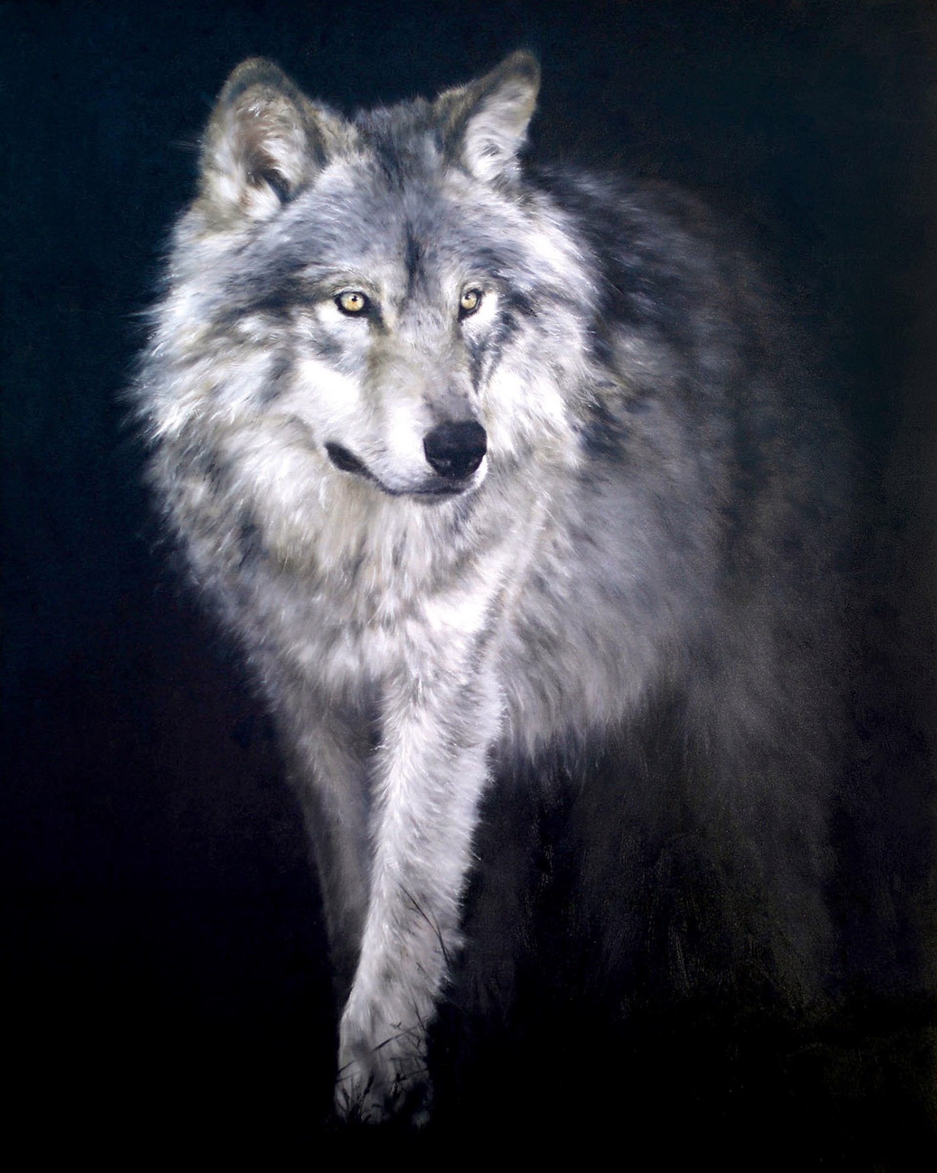 Original Oil Painting Featuring A Gray Wolf Emerging From A Black Background