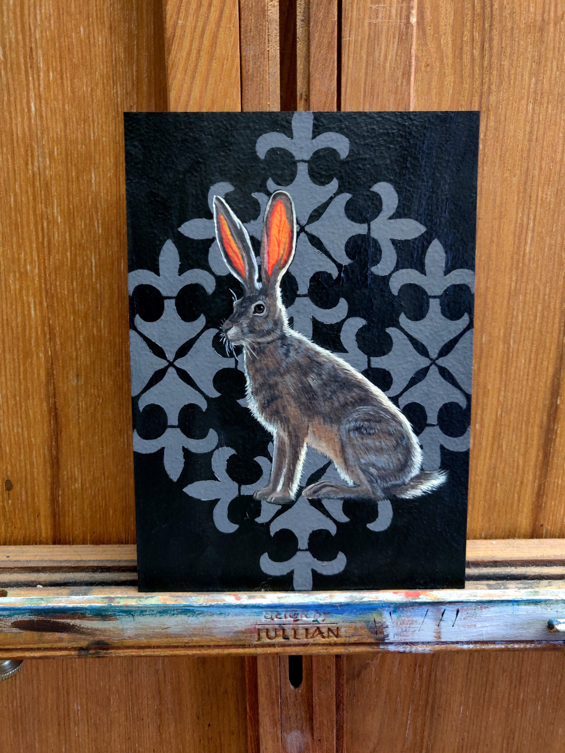 Backlit Jack Rabbit by Robin Hextrum
