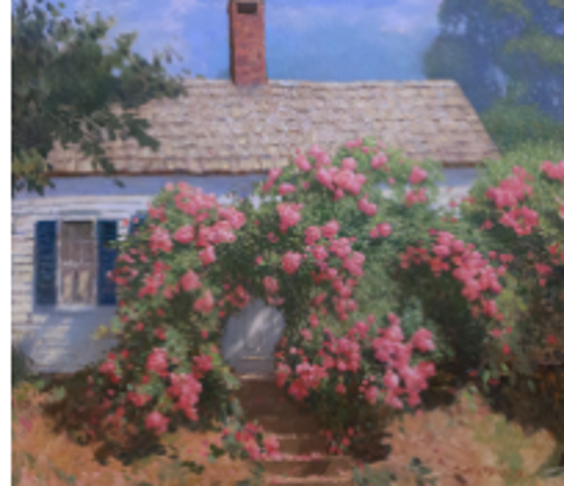 Maine Roses by David Hatfield