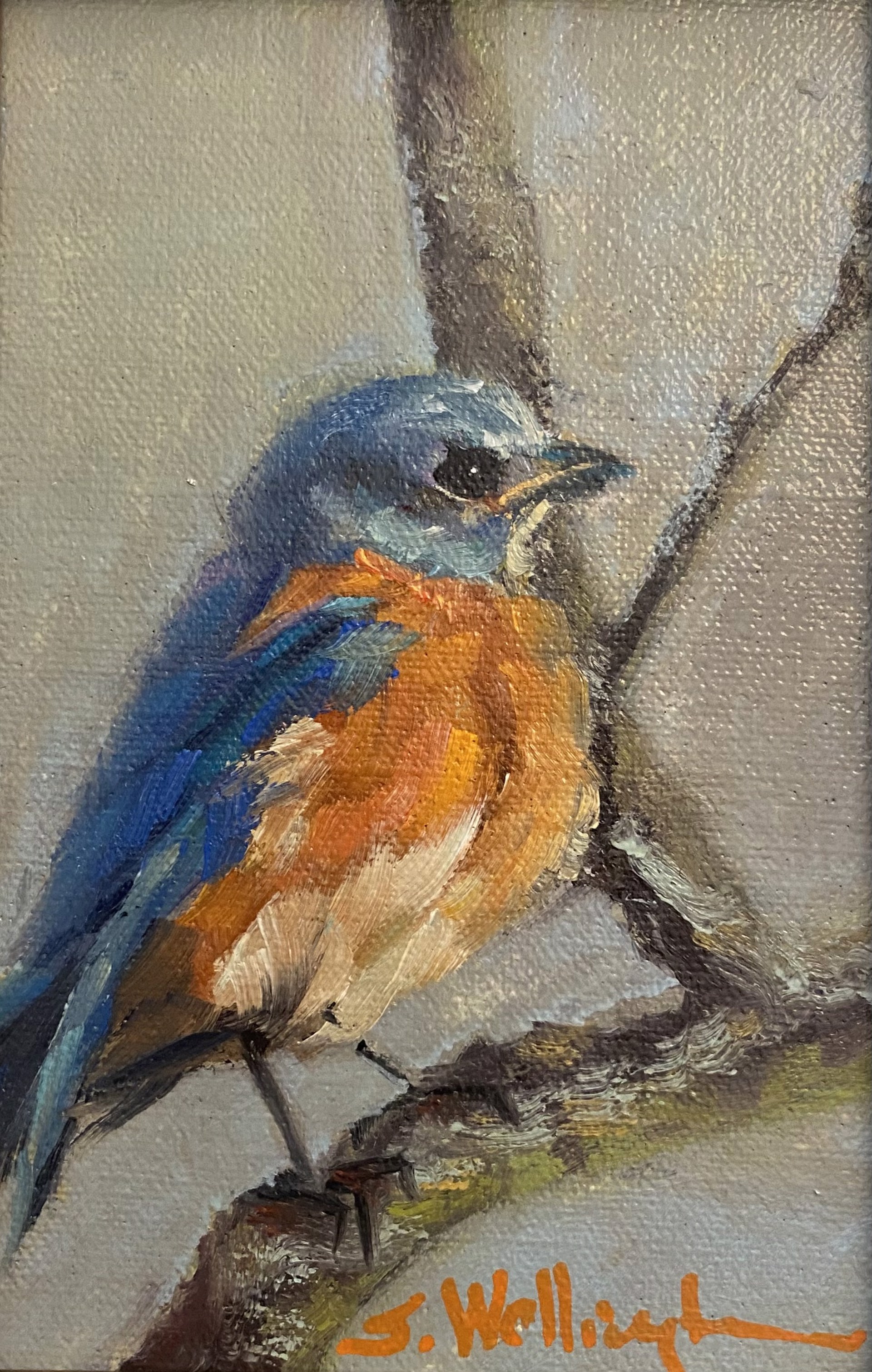 Bluebird by Susan Wellington | Pacesetter Gallery