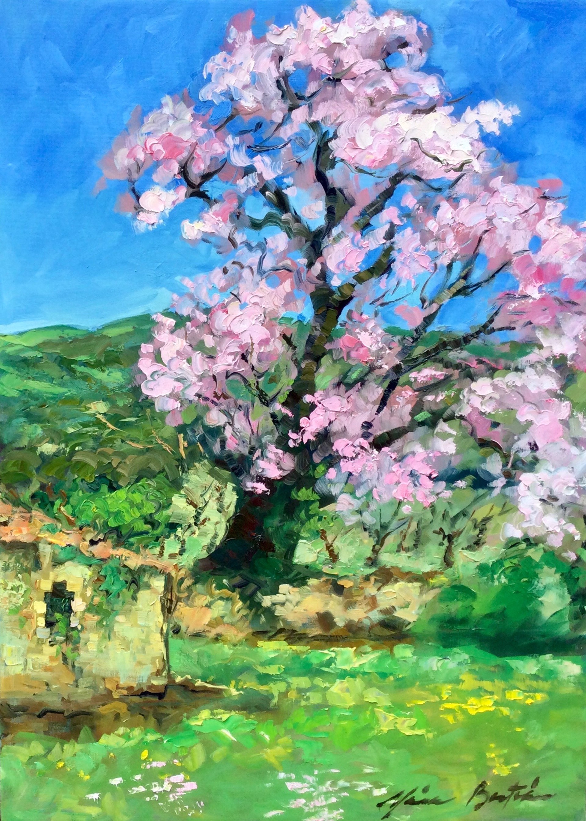 Almond Tree In Full Bloom by Maria Bertrán