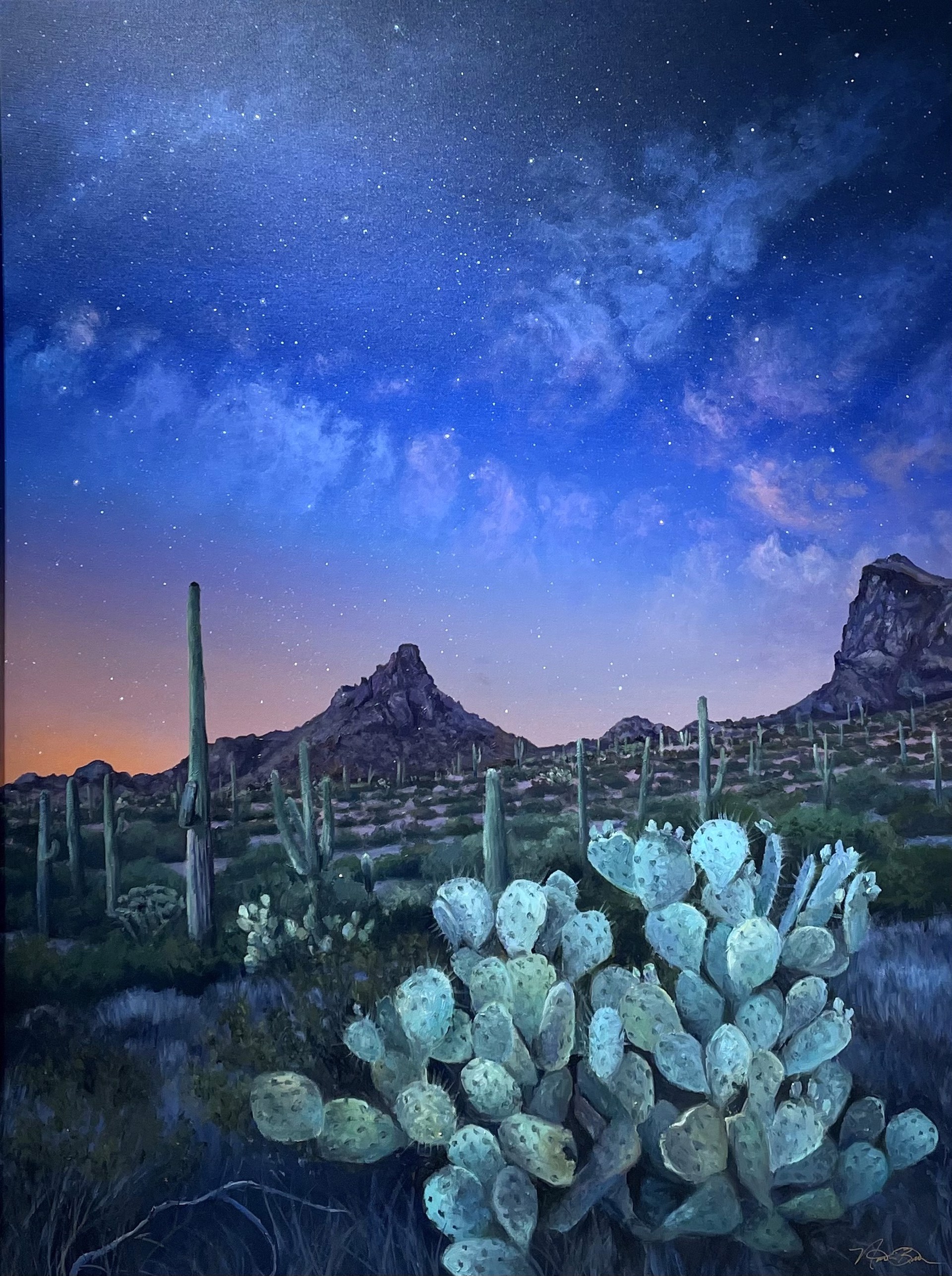 Celestial Desert Sky by Naomi Brown