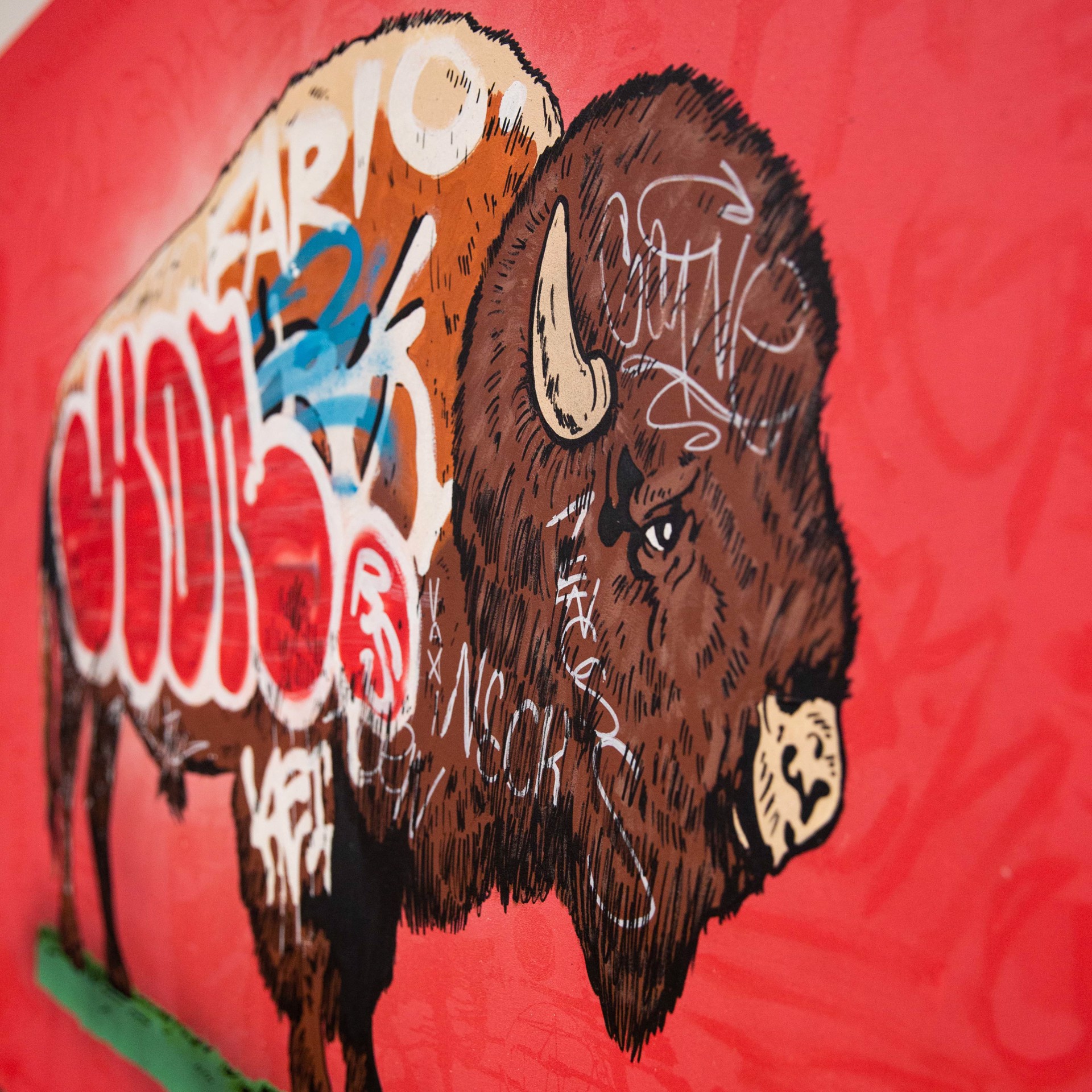 Graffiti Buffalo by Whatisadam