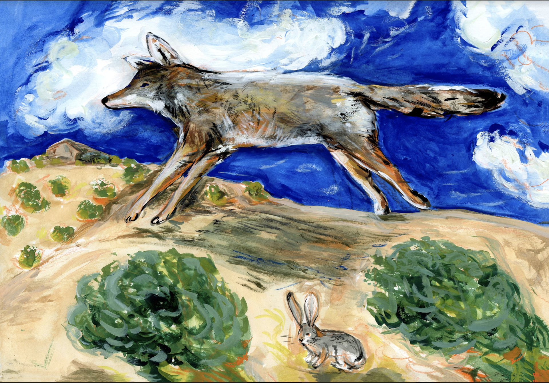 Coyote Dreams by Kat Kinnick