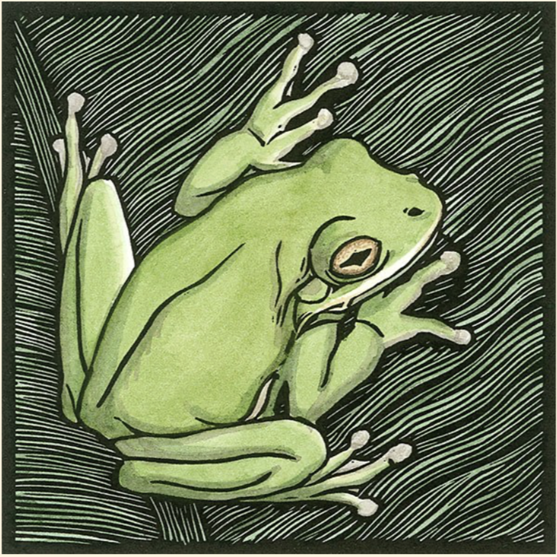 Green Treefrog: Nighttime by Margie Crisp