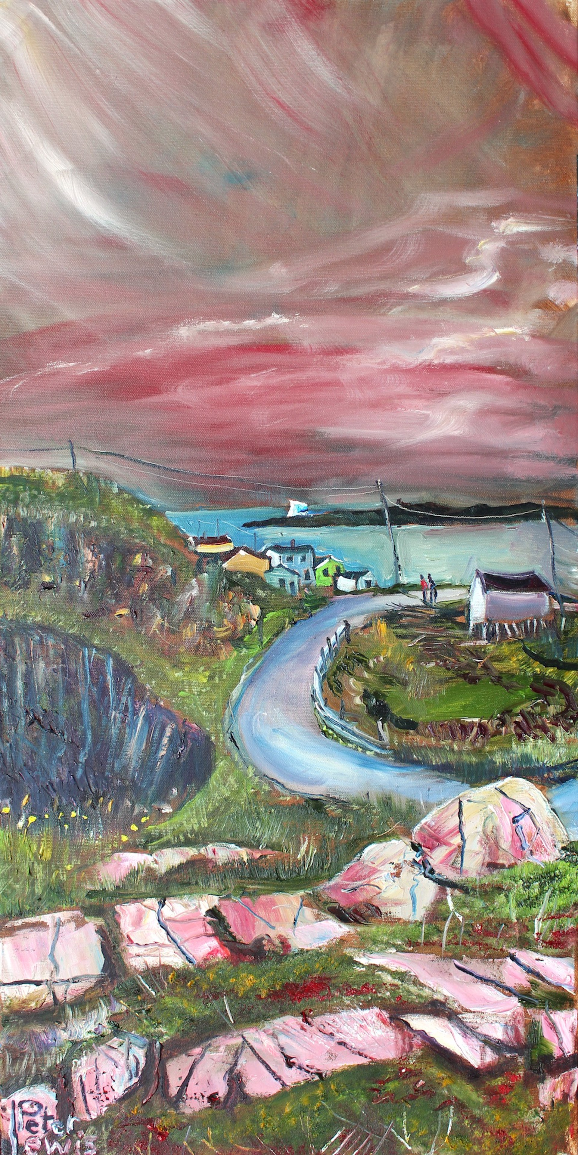 Little Harbour, Barr'd Island by Peter Lewis