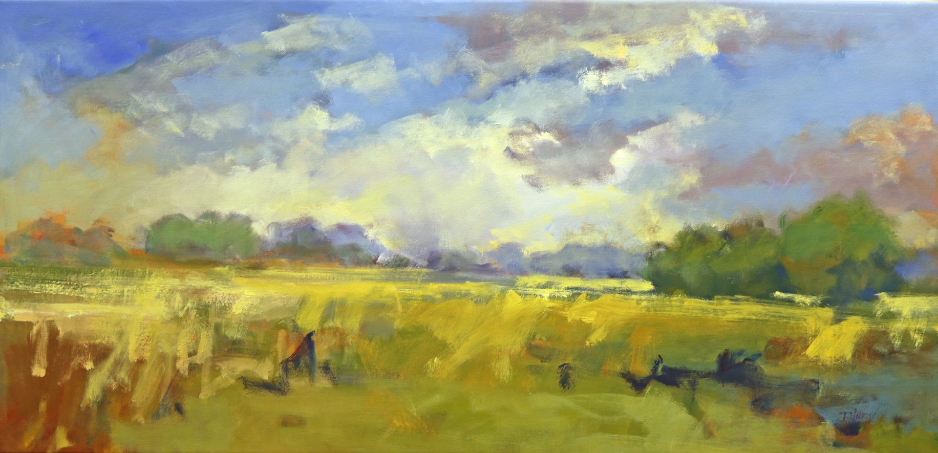 Fields of Yellow Grass by Trish Hurley