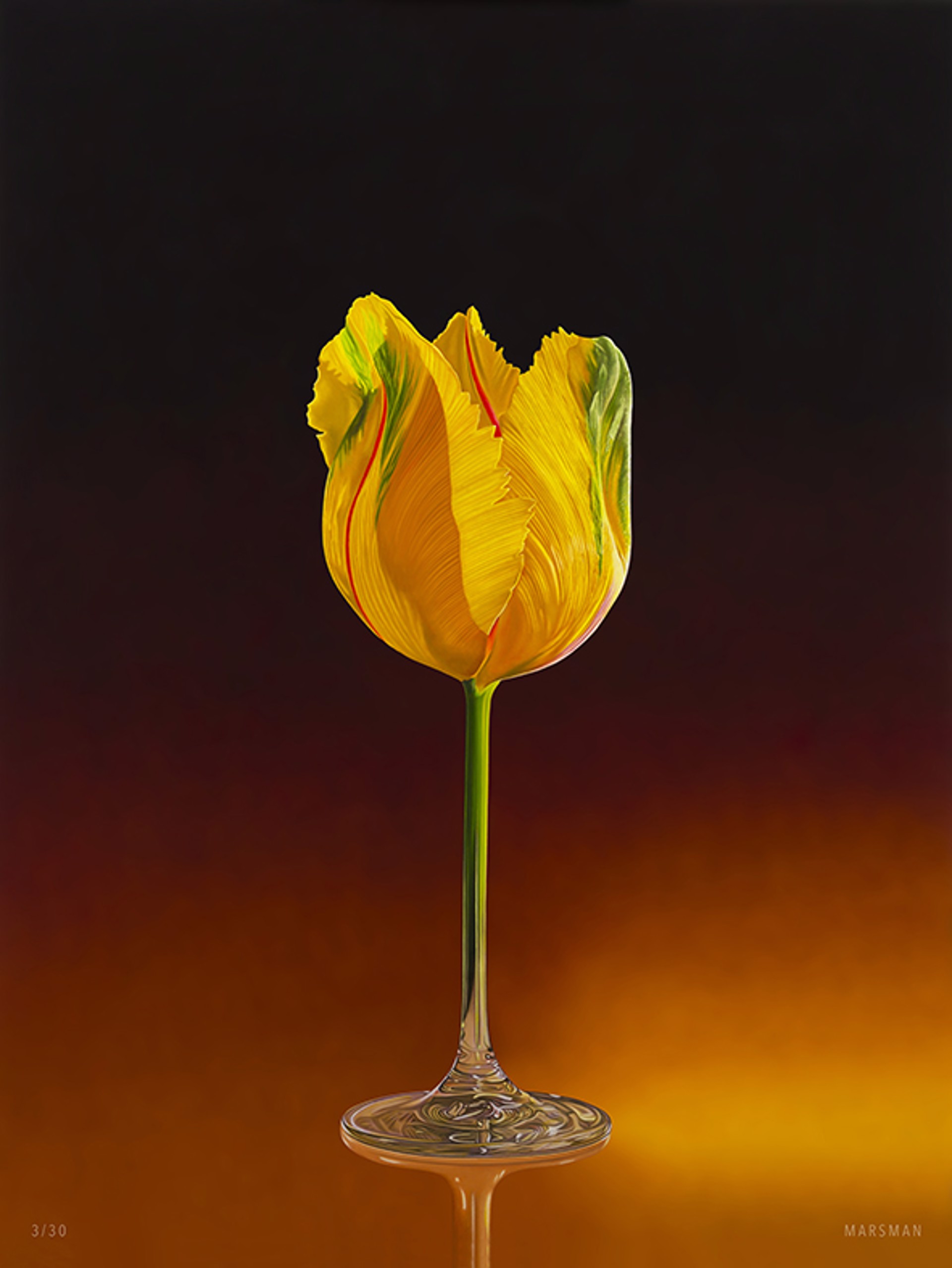 A Glass Of Dutch Tulip by Jean-Paul Marsman | Lahaina Galleries