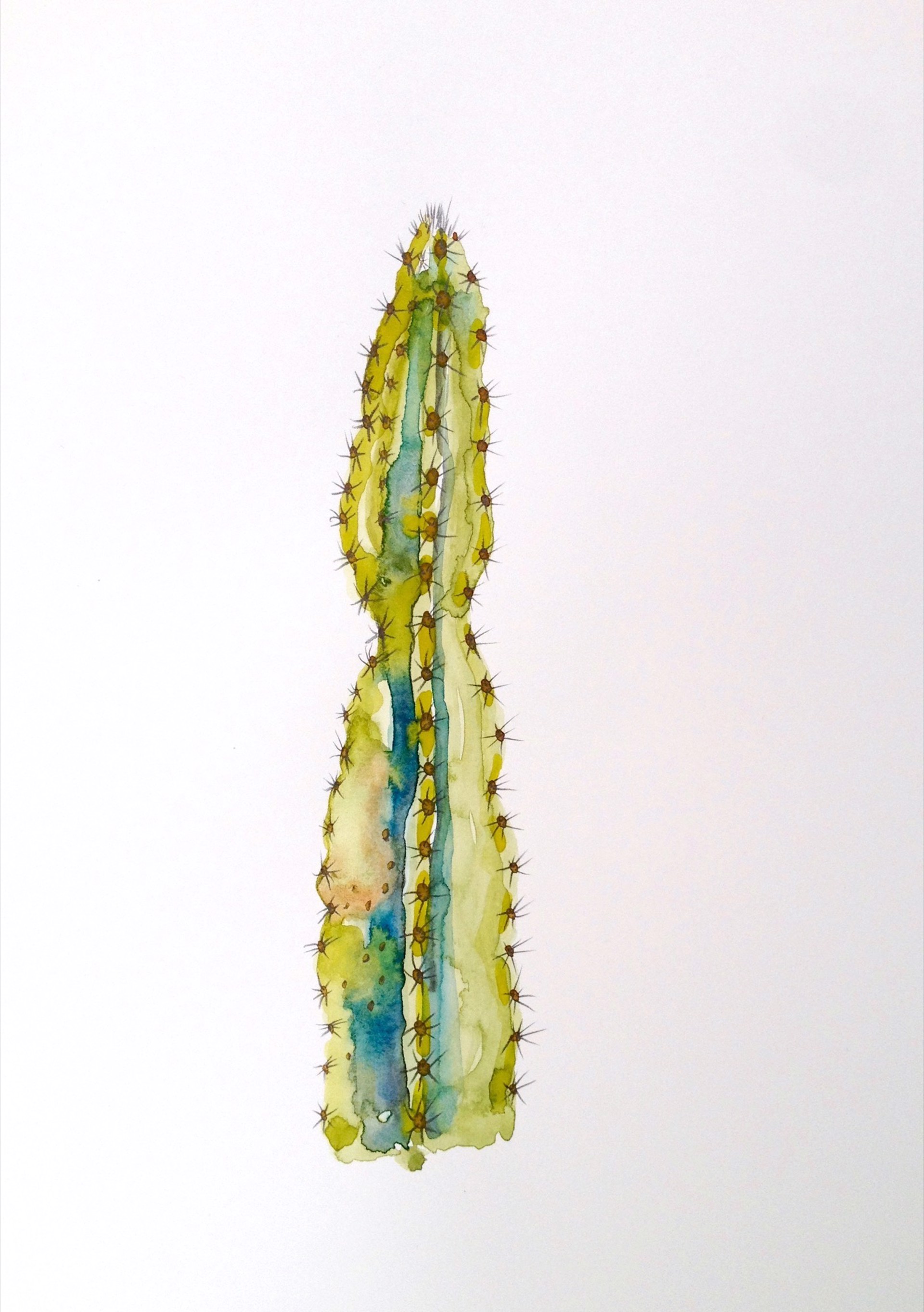 Columnar Cacti Viridi by Rachael Van Dyke