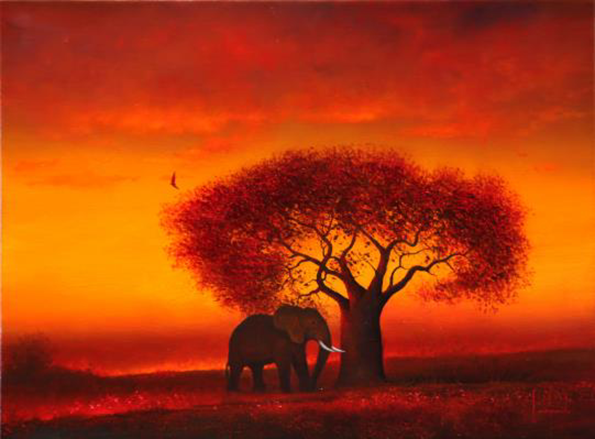 Africa Sun by Dario Campanile