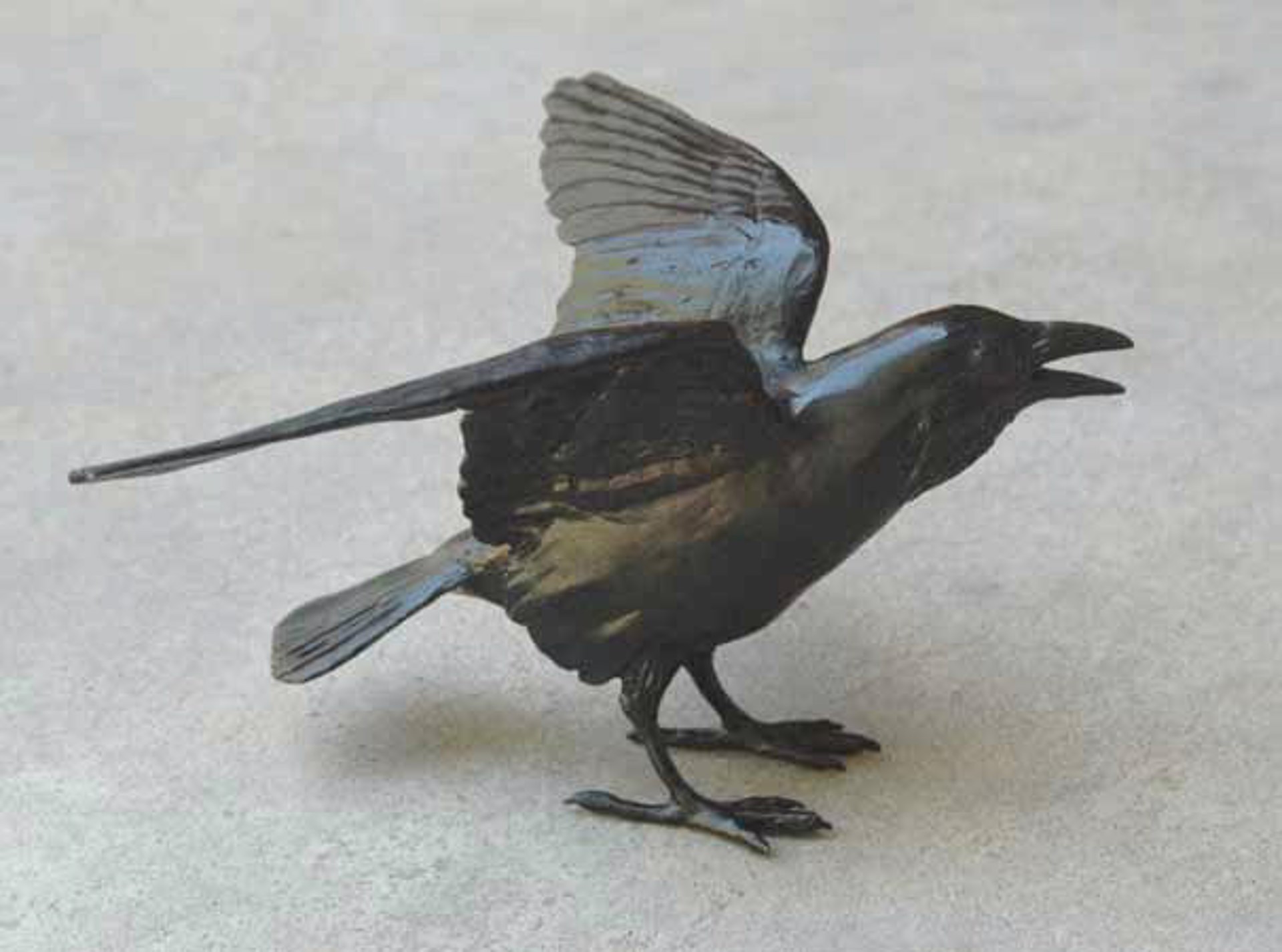 Small Raven V by Jim Eppler