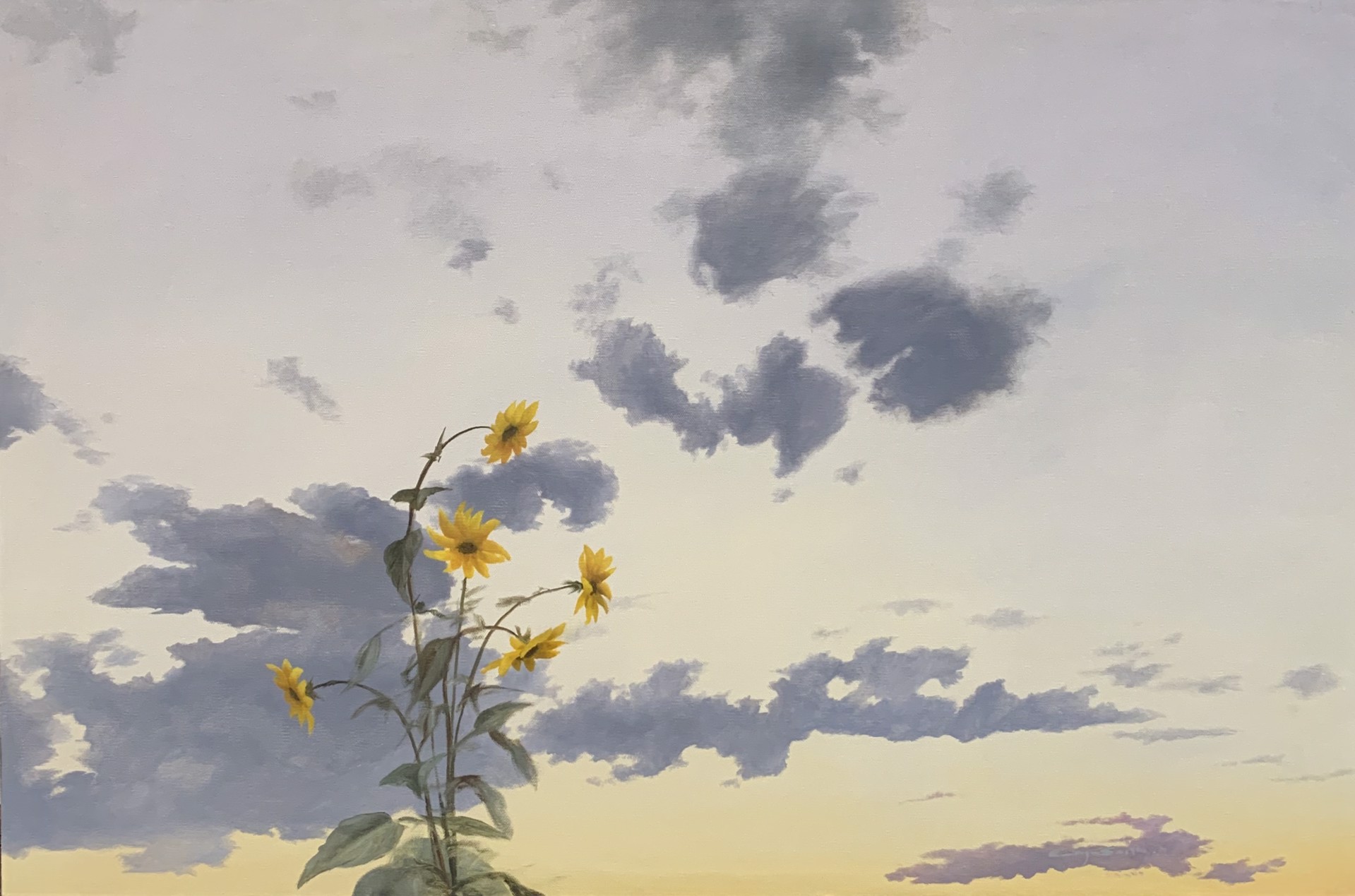 Sky Flower by Gregory Smith