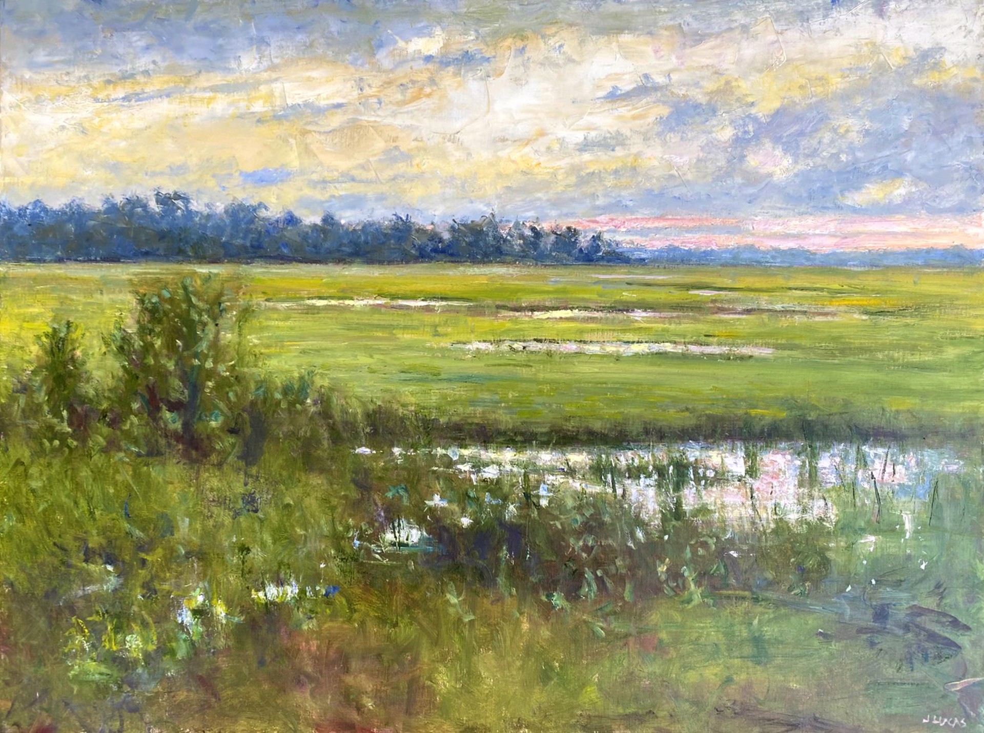 Marsh Side by Janet Lucas Beck