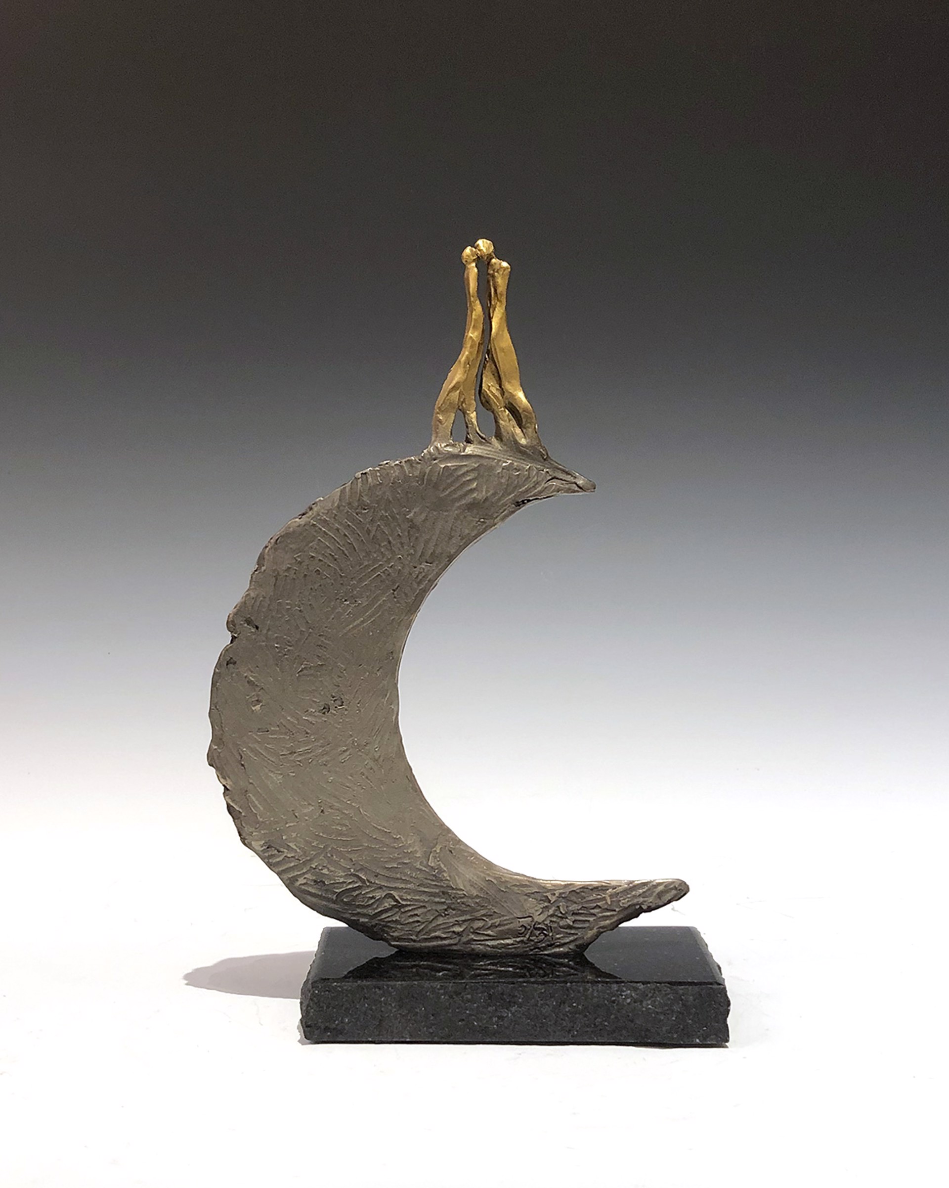 Over the Moon by Jane DeDecker