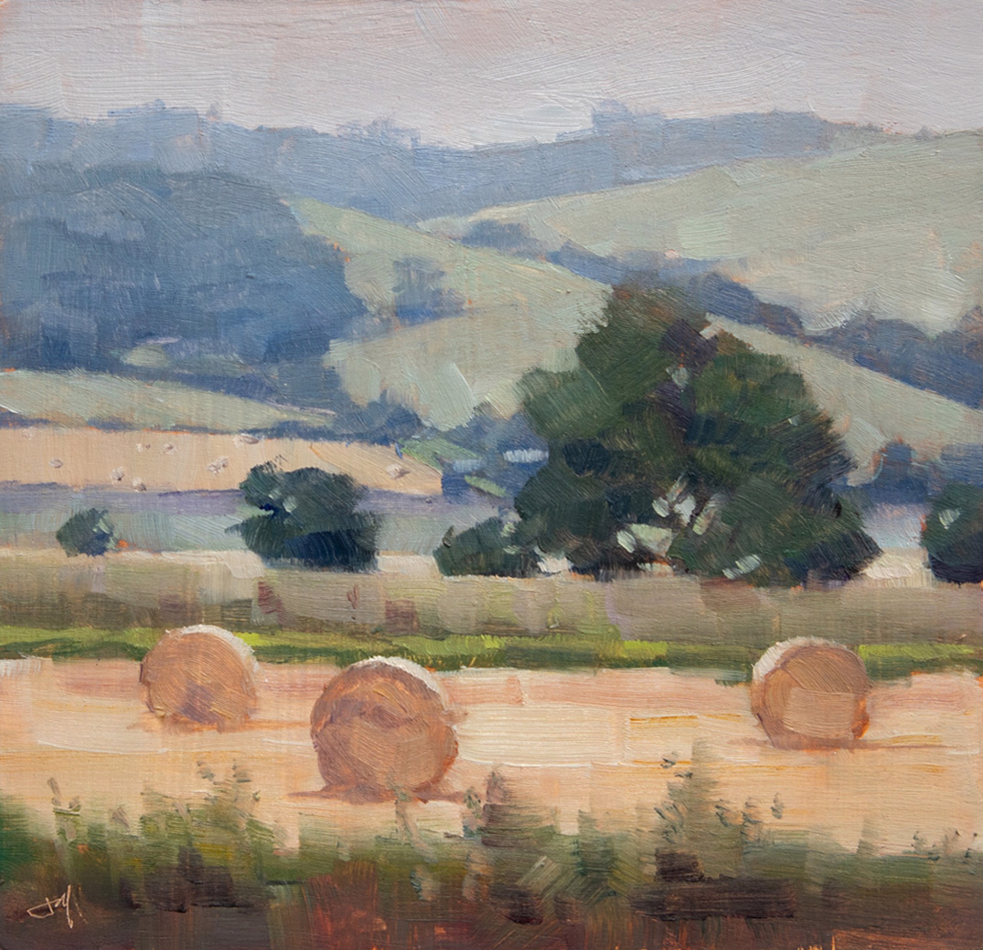 Shrouded Pastures by Judd Mercer