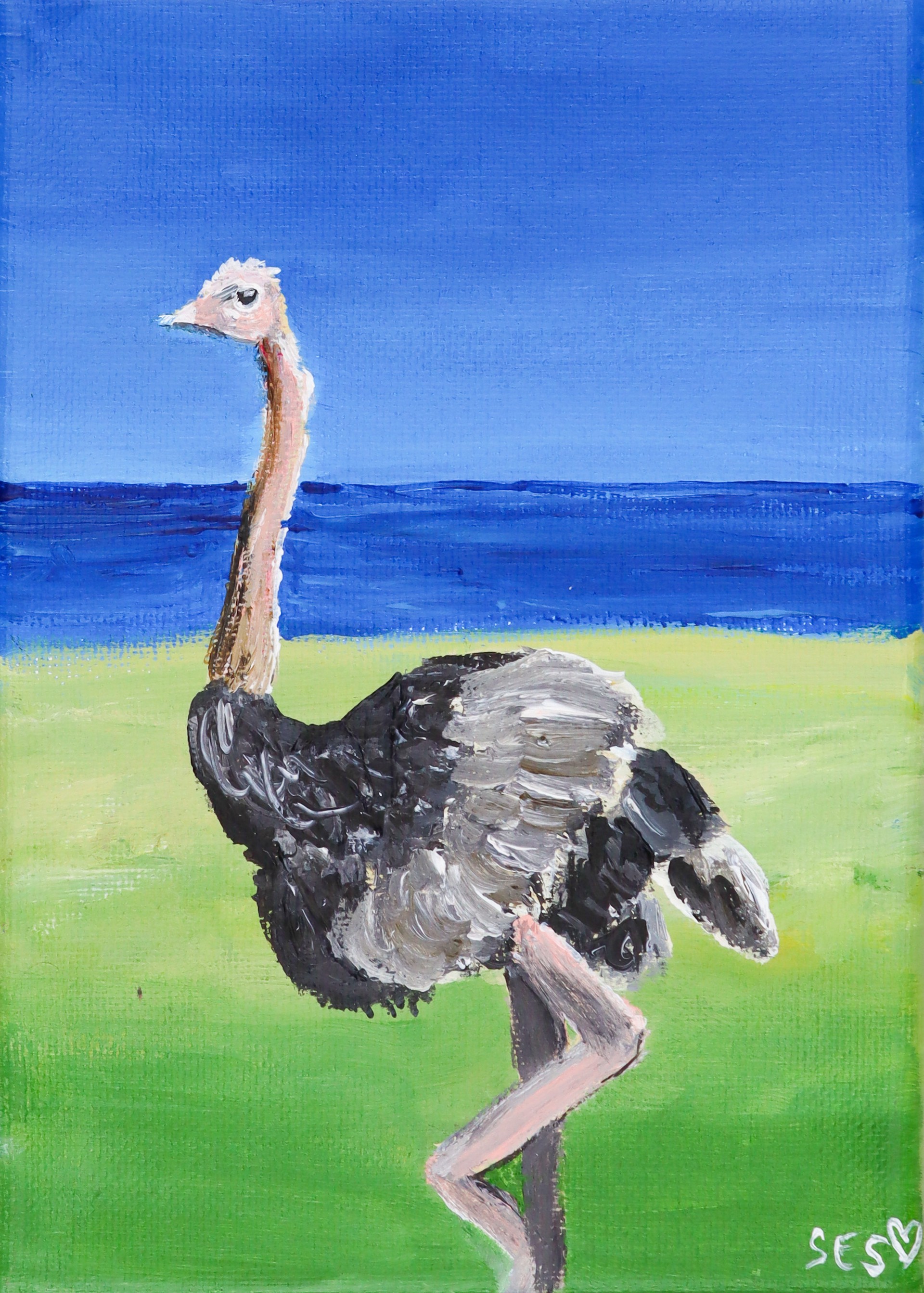 Ostrich in Thought by Sarah Swan