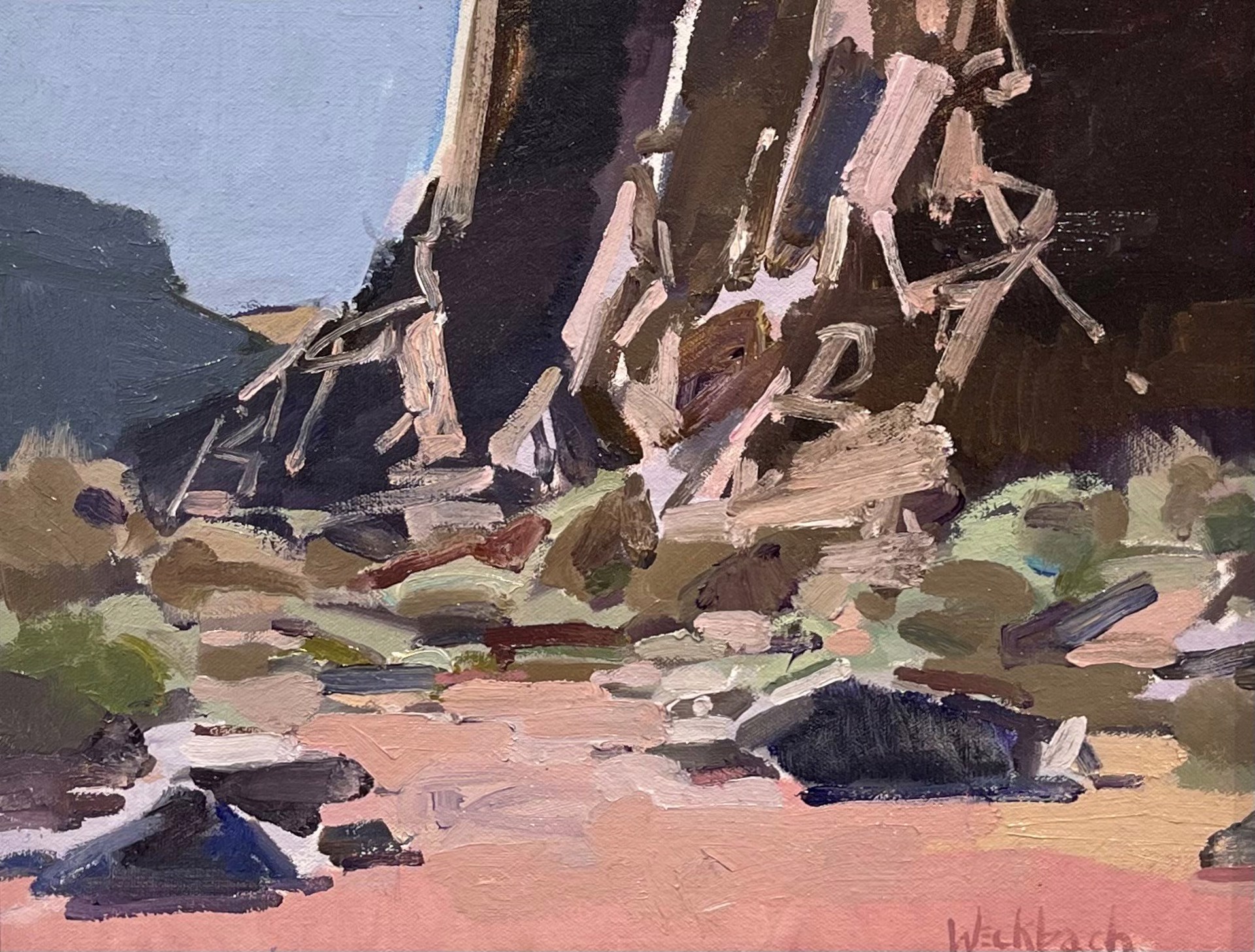 Diablo Canyon by Kevin Weckbach
